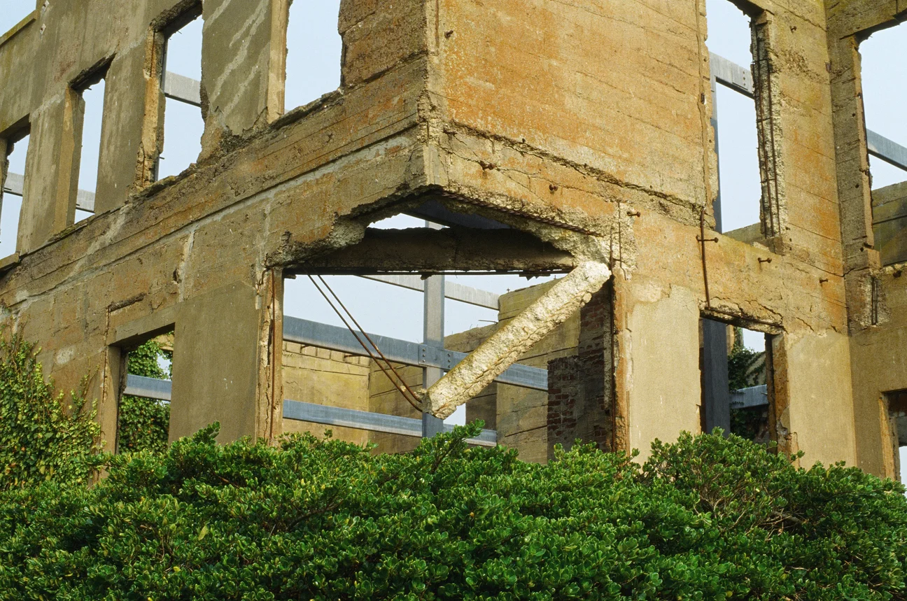 Warden Building and Green Bush.jpg