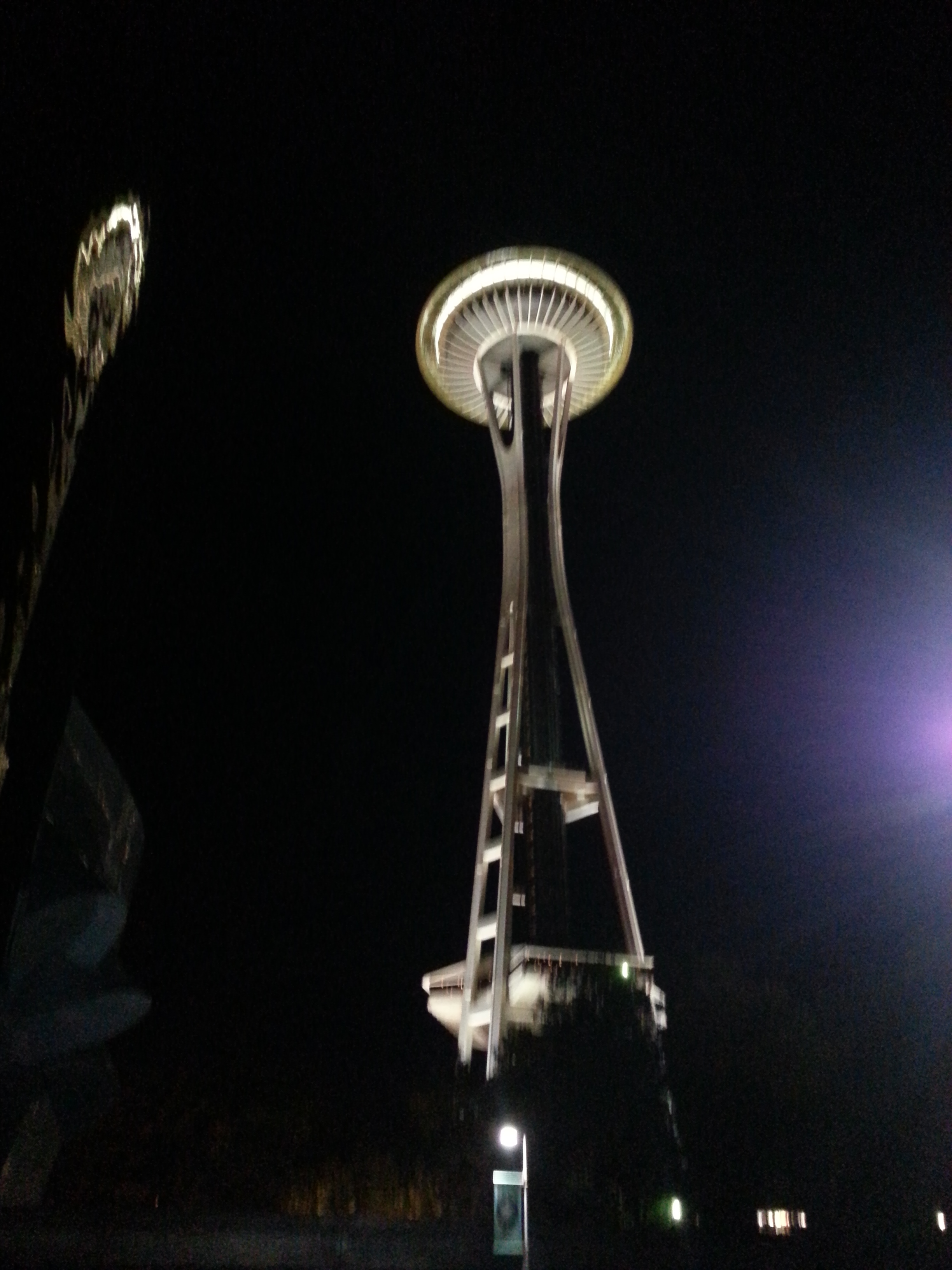 Seattle at night. (Photo: M. Zimmerman, 2012)