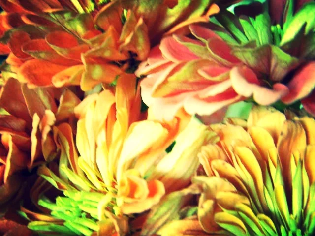 20110919-DSCN5515.jpg
