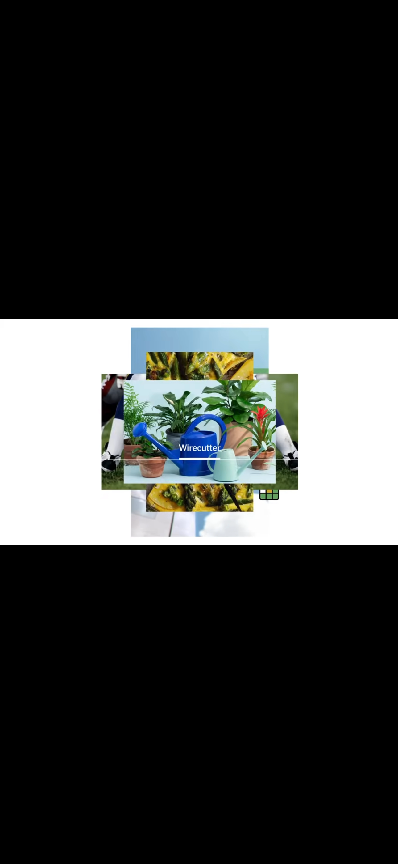 IMG_6668.png