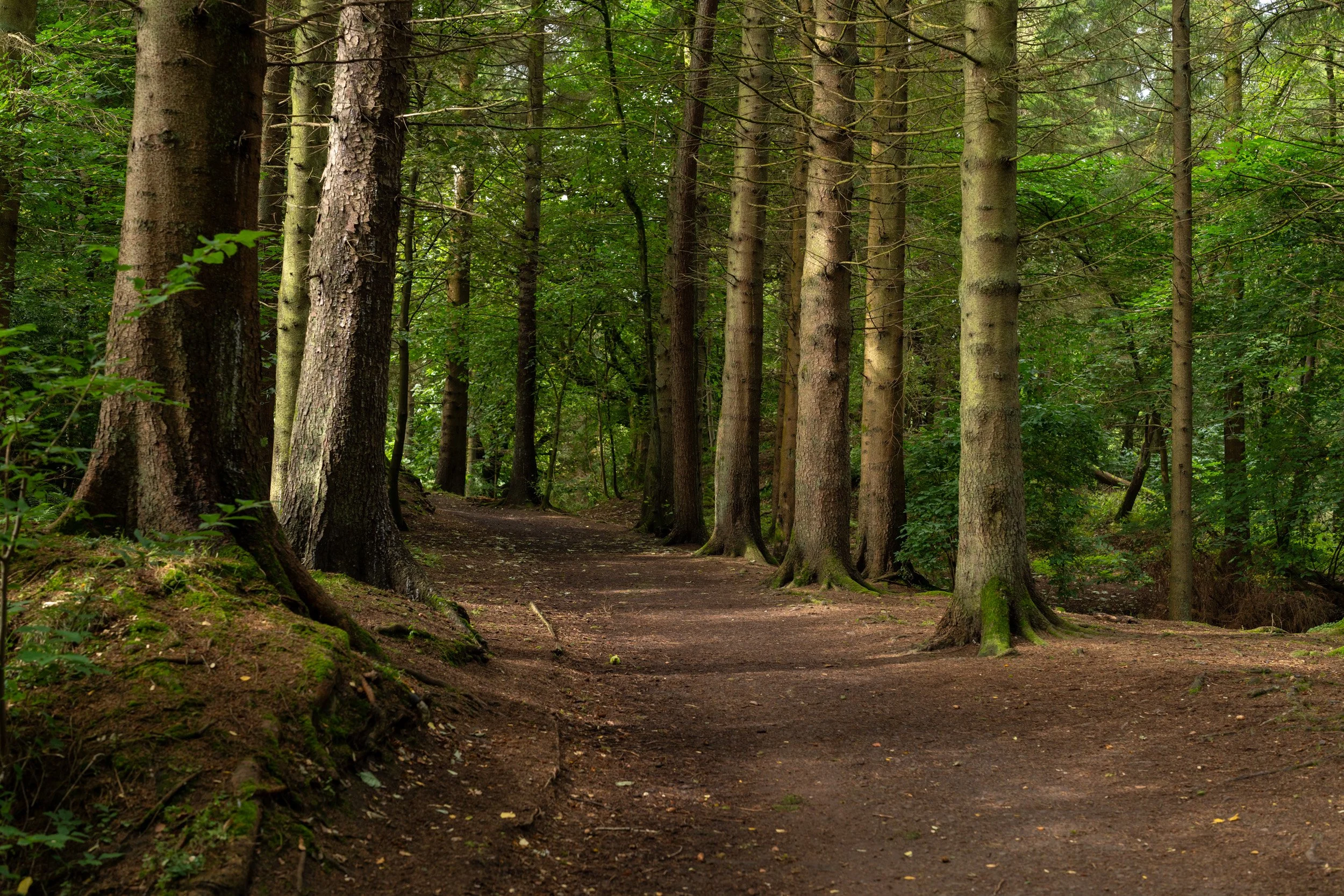Calderglen Country Park