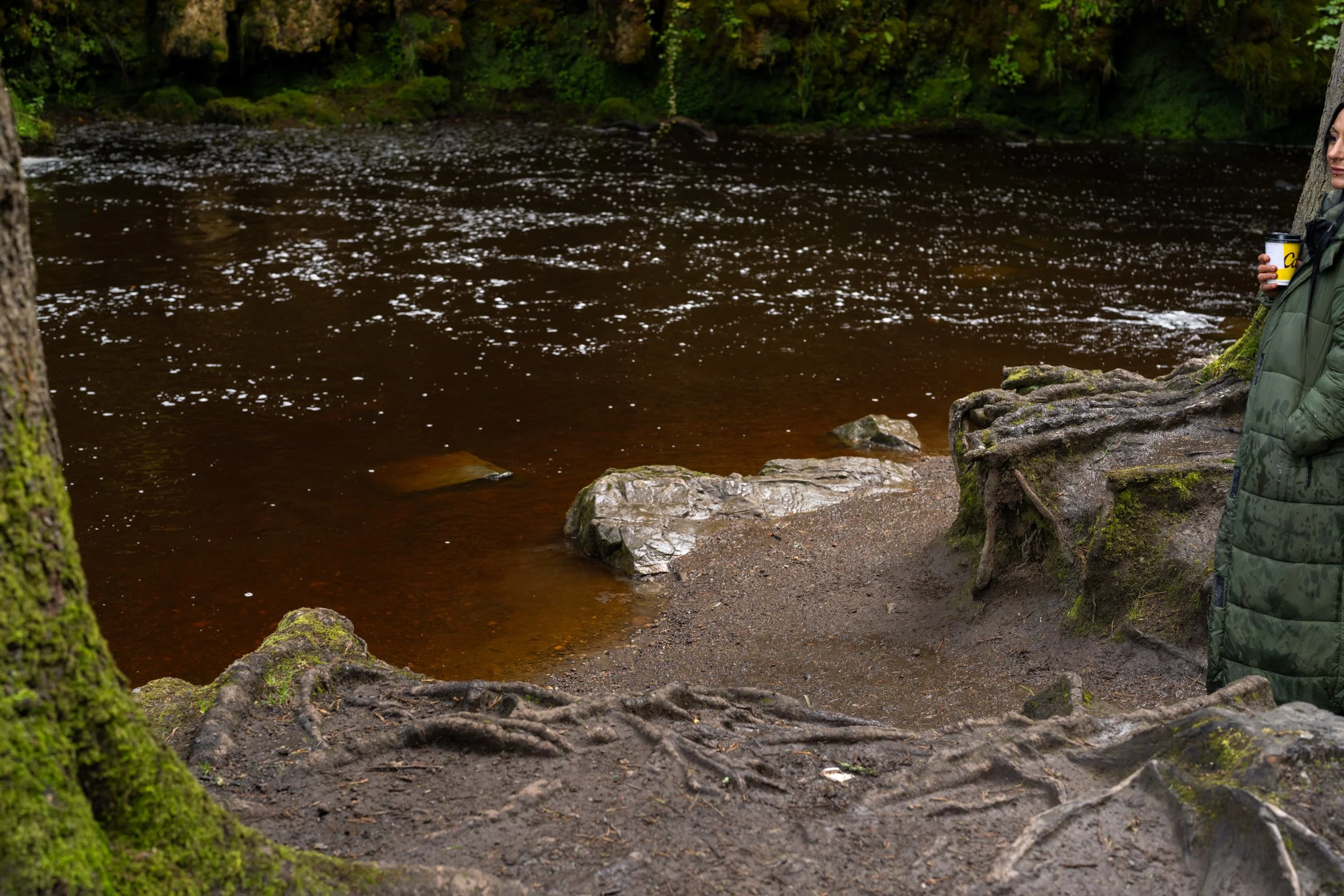 Calderglen Country Park