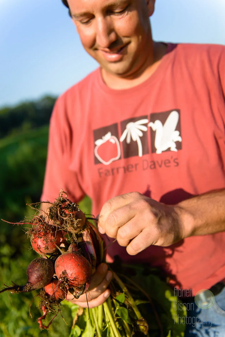 Farmer Dave checks the progress of his crop
