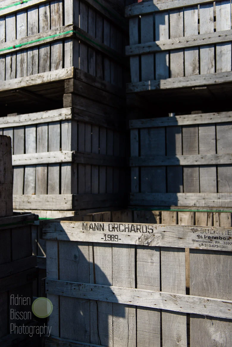 Mann Orchard crates await the harvest