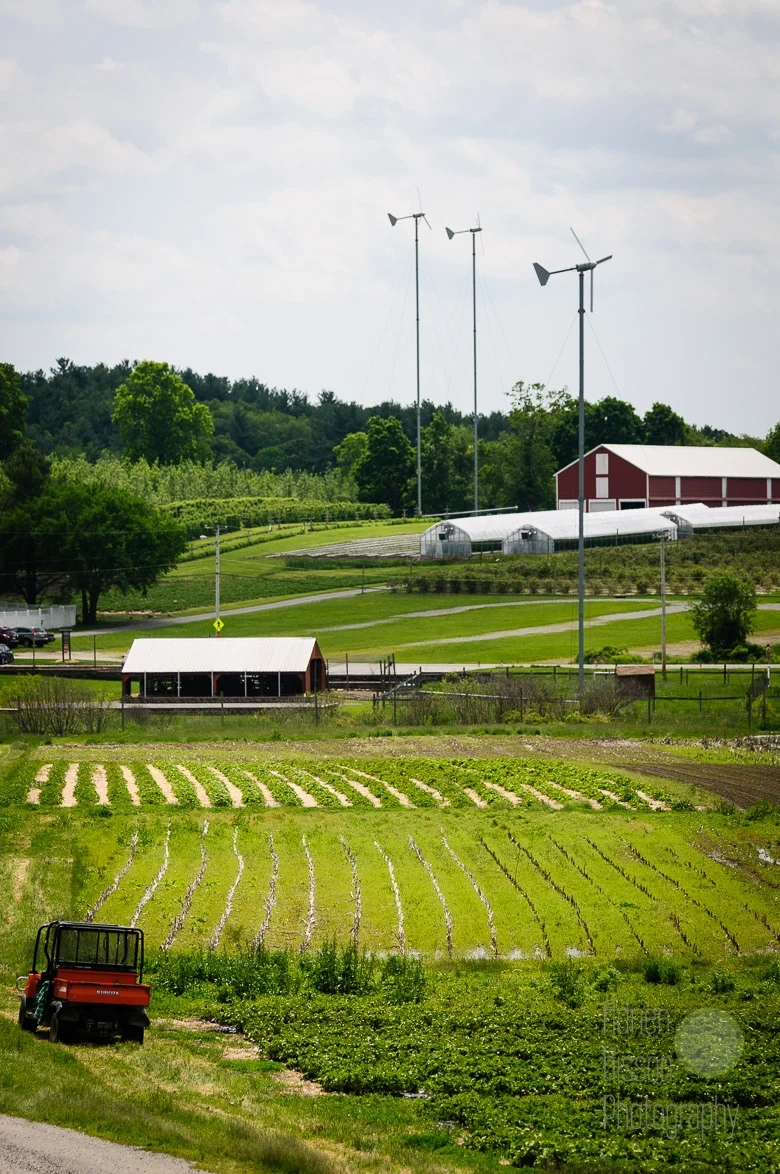The beautiful landscape of the Cider Hill Farm