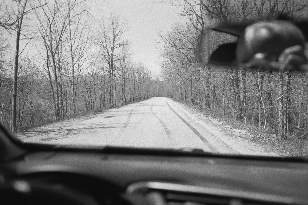 "The lawn was like a hay field" at the ALL's Greenwald Gallery