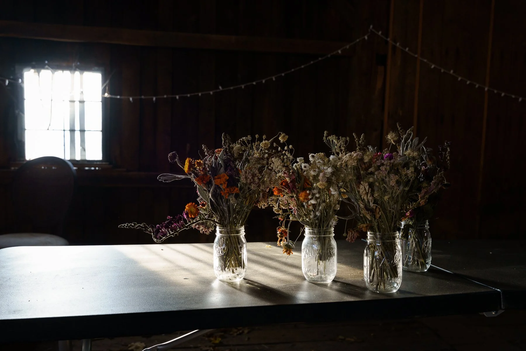 11_AdrienBisson_Dried flowers.jpg