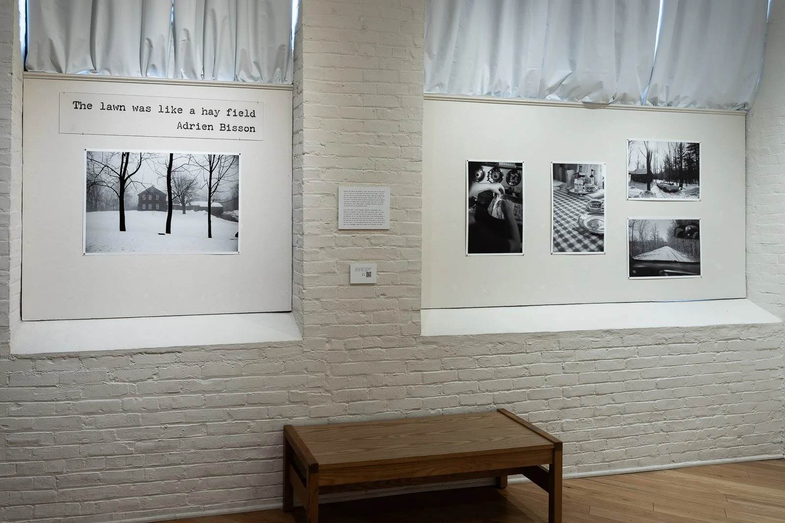The lawn was like a hay field - The ALL Gallery, Lowell, Massachusetts 