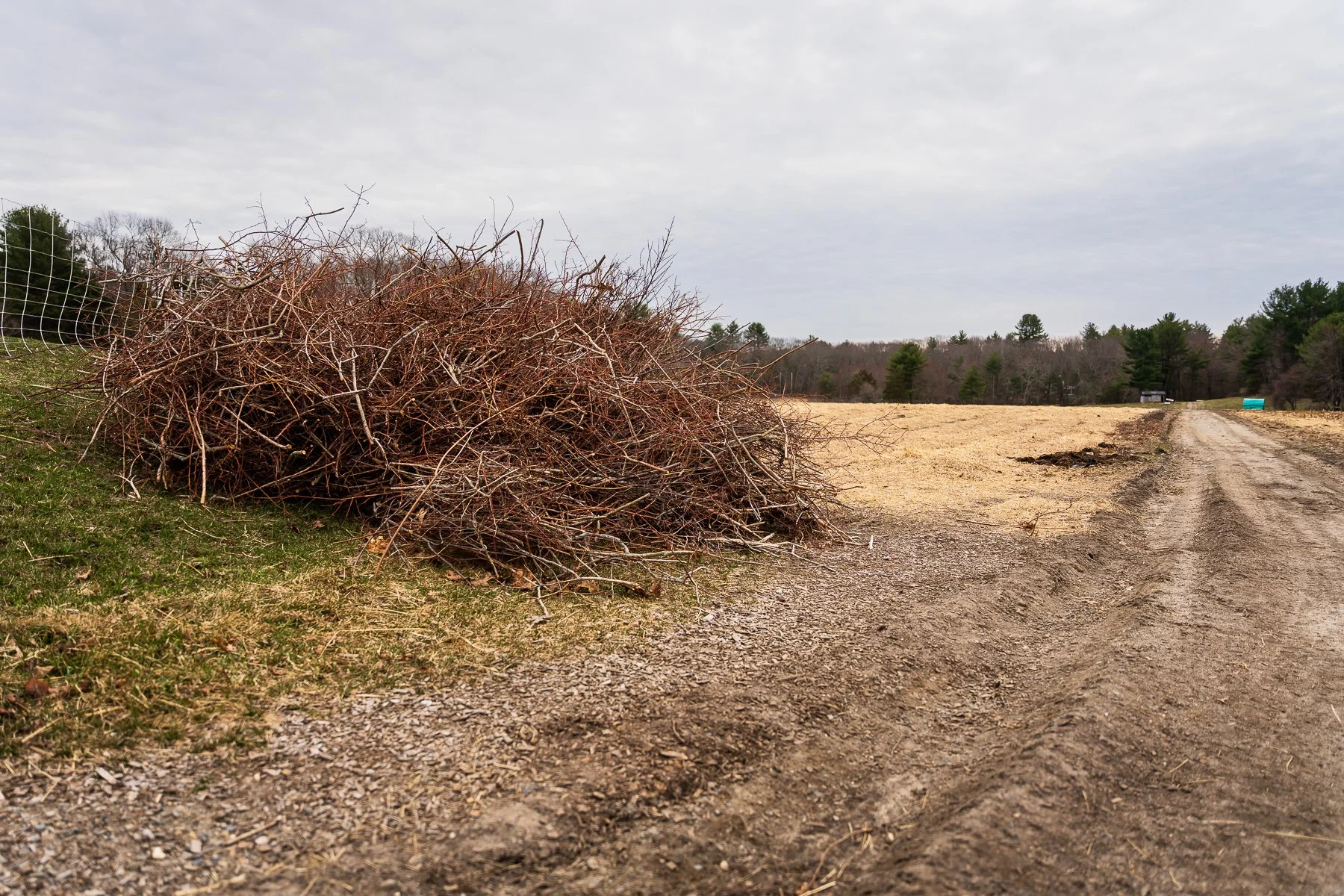 20_AdrienBisson_Spring cleanup.jpg