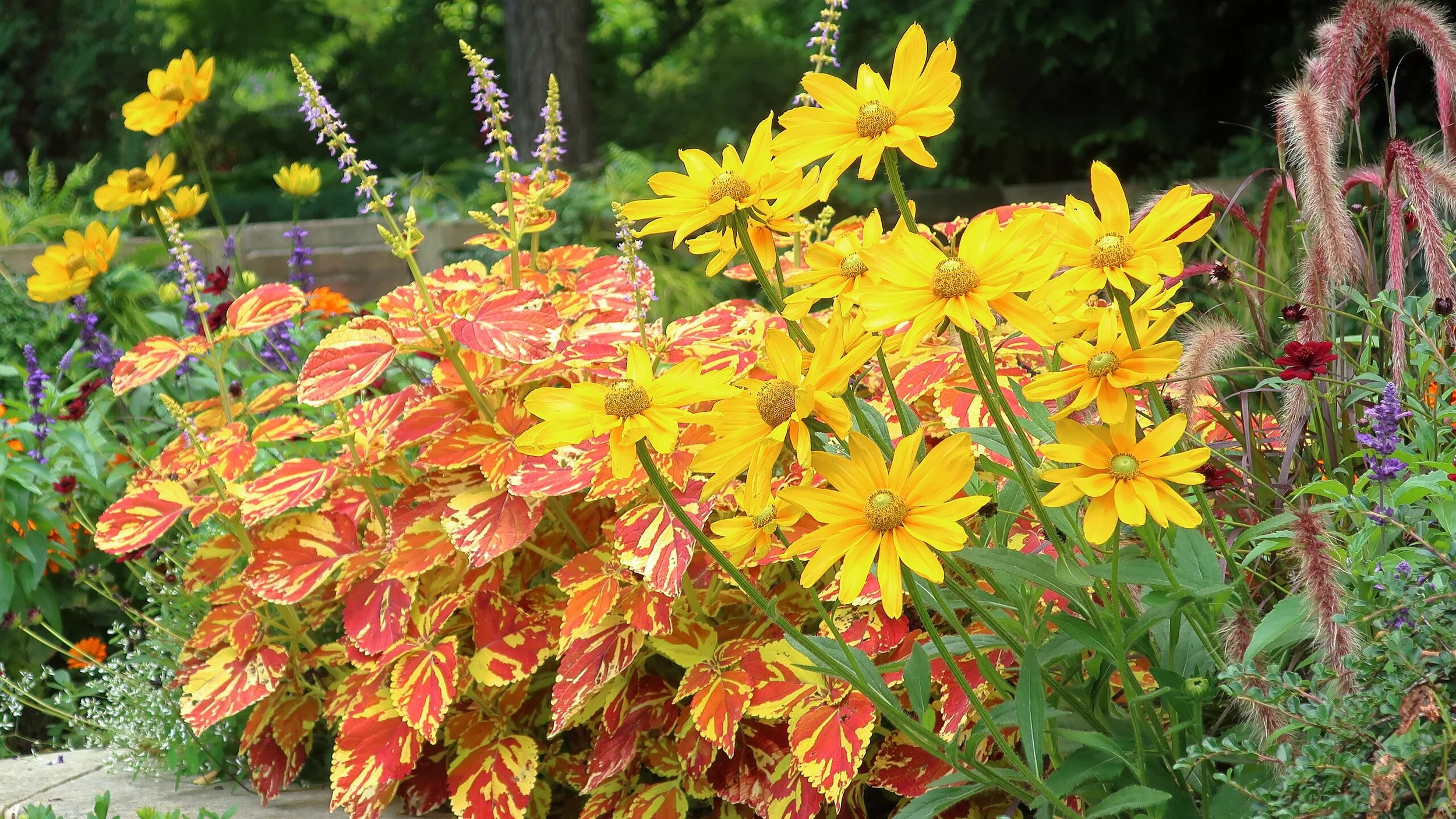 chicago_botanic_garden_2.jpg