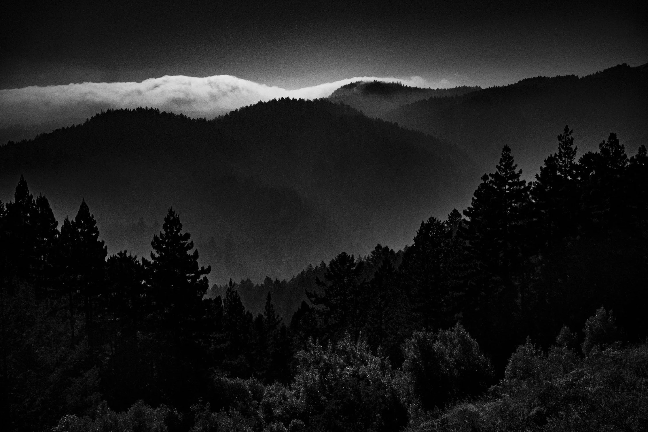 Mill Valley, CA 1/23
