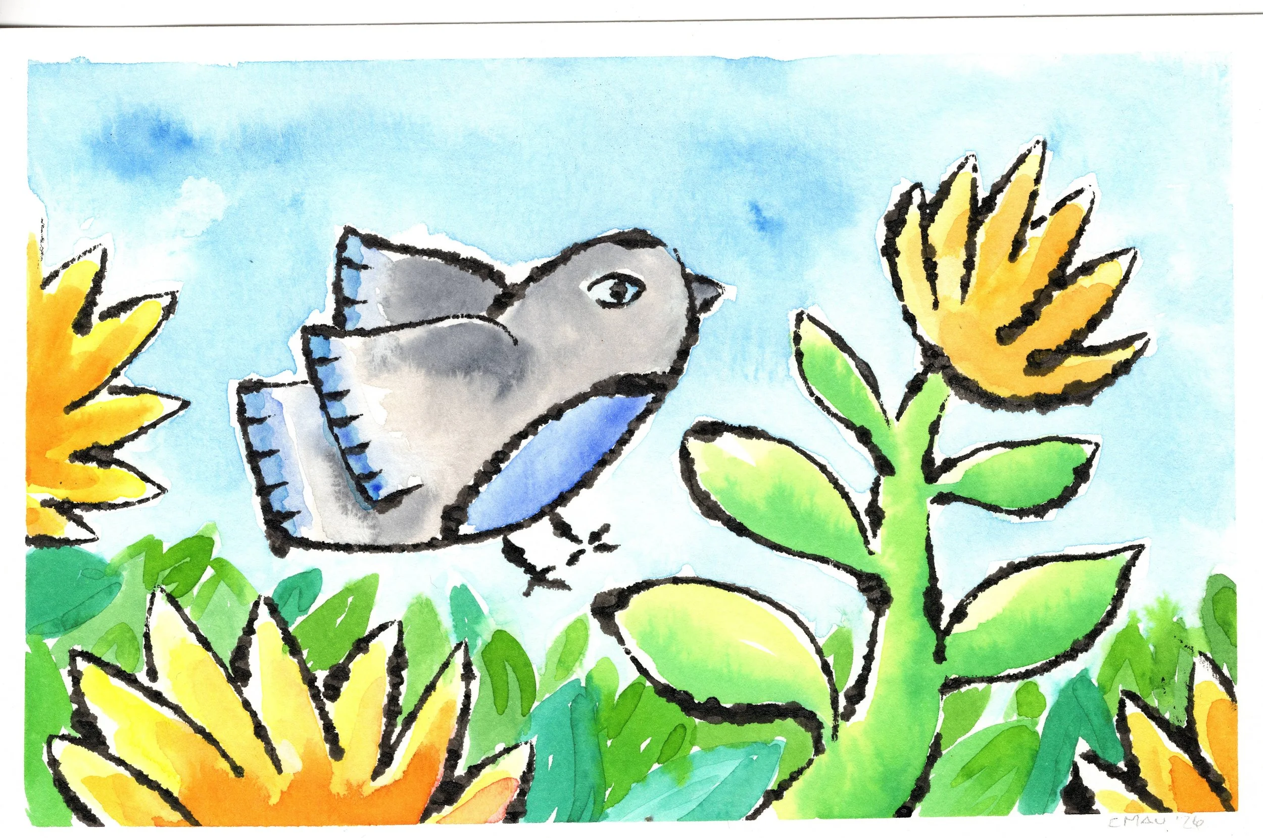 Junco2026_1.jpeg