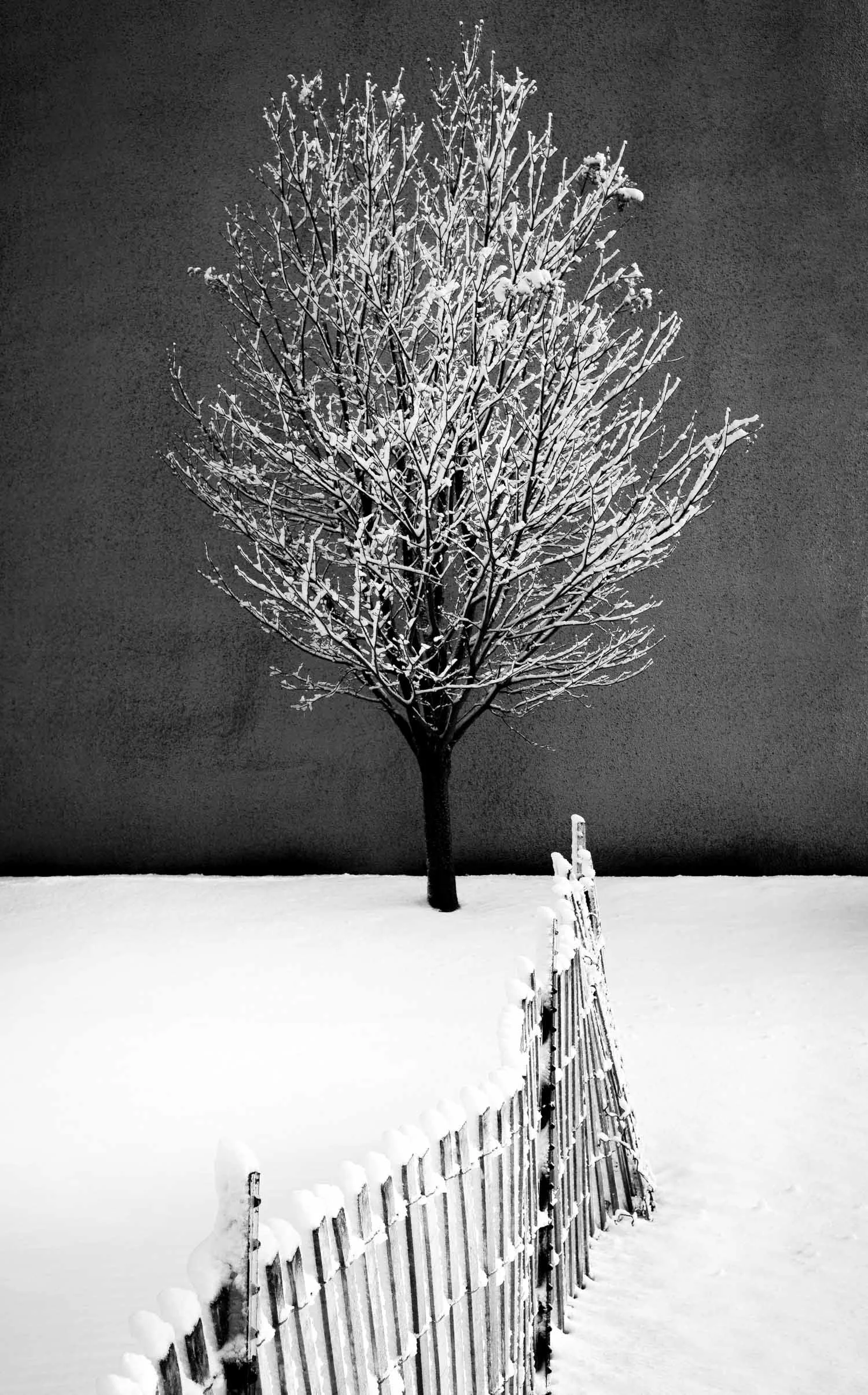 Rochester, MN 1/23
