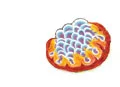 globule.jpg