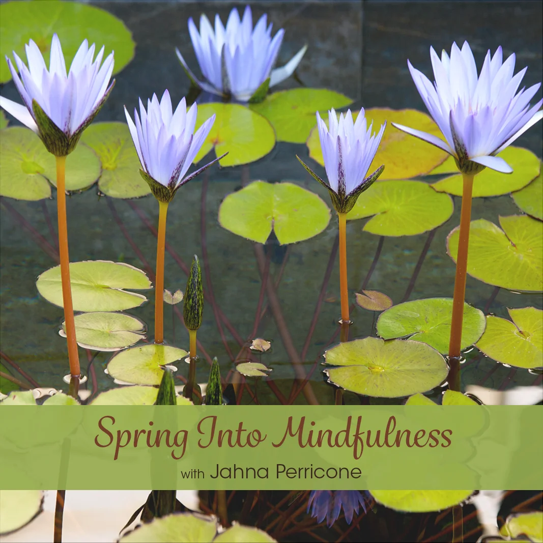 spring into mindfulness cover.jpg