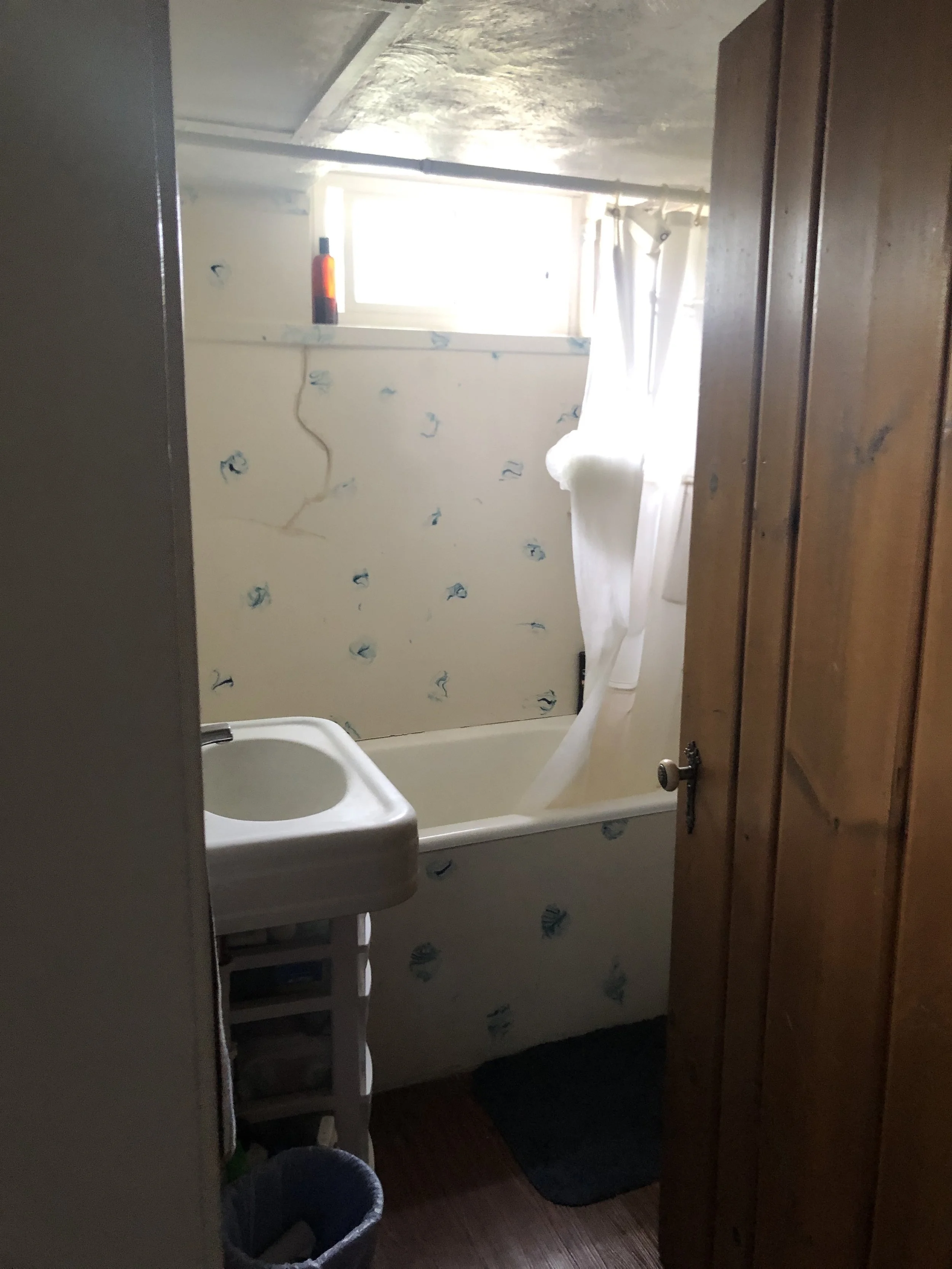 Bathroom Before.jpg
