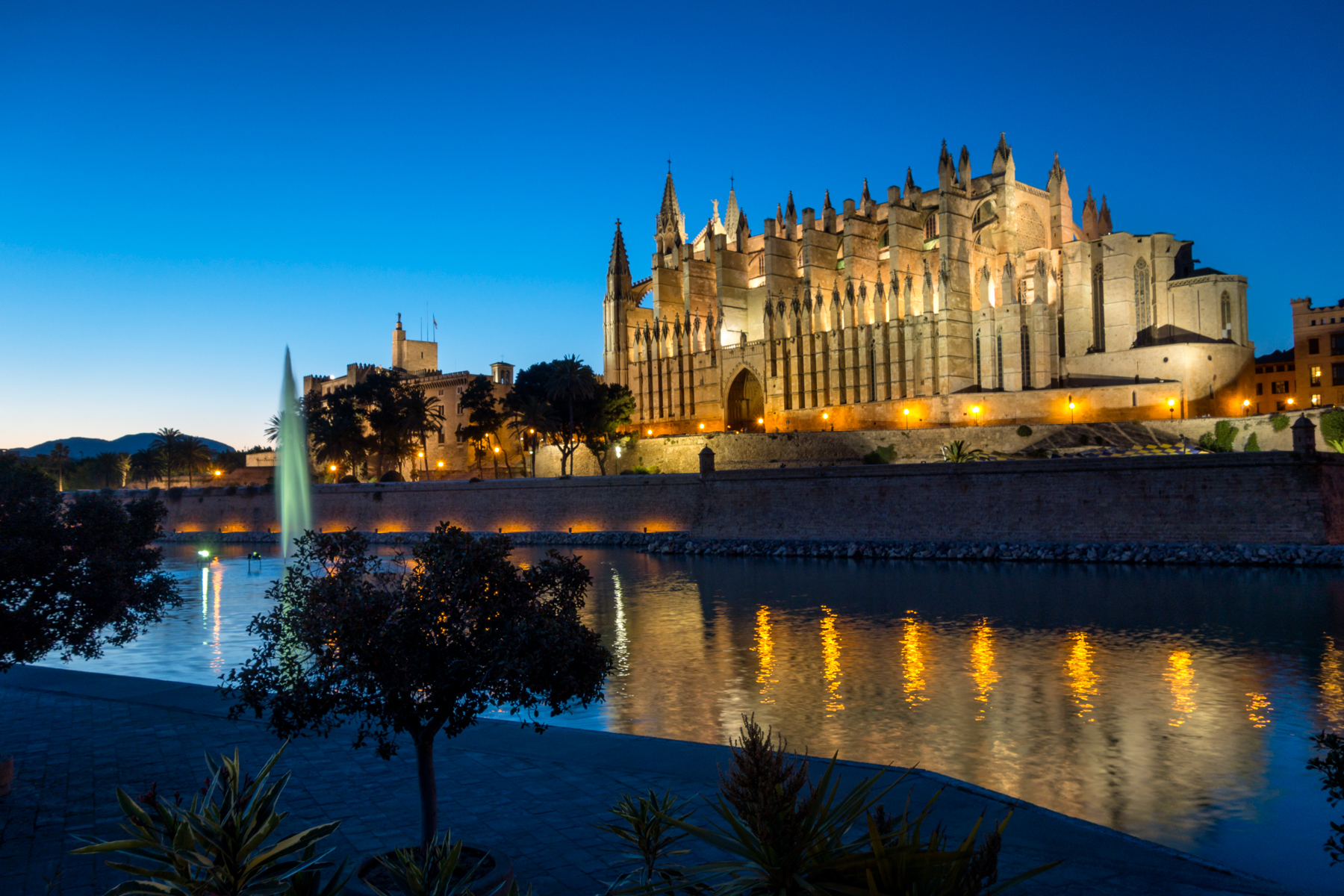 la seu de mallorca, palma mallorca