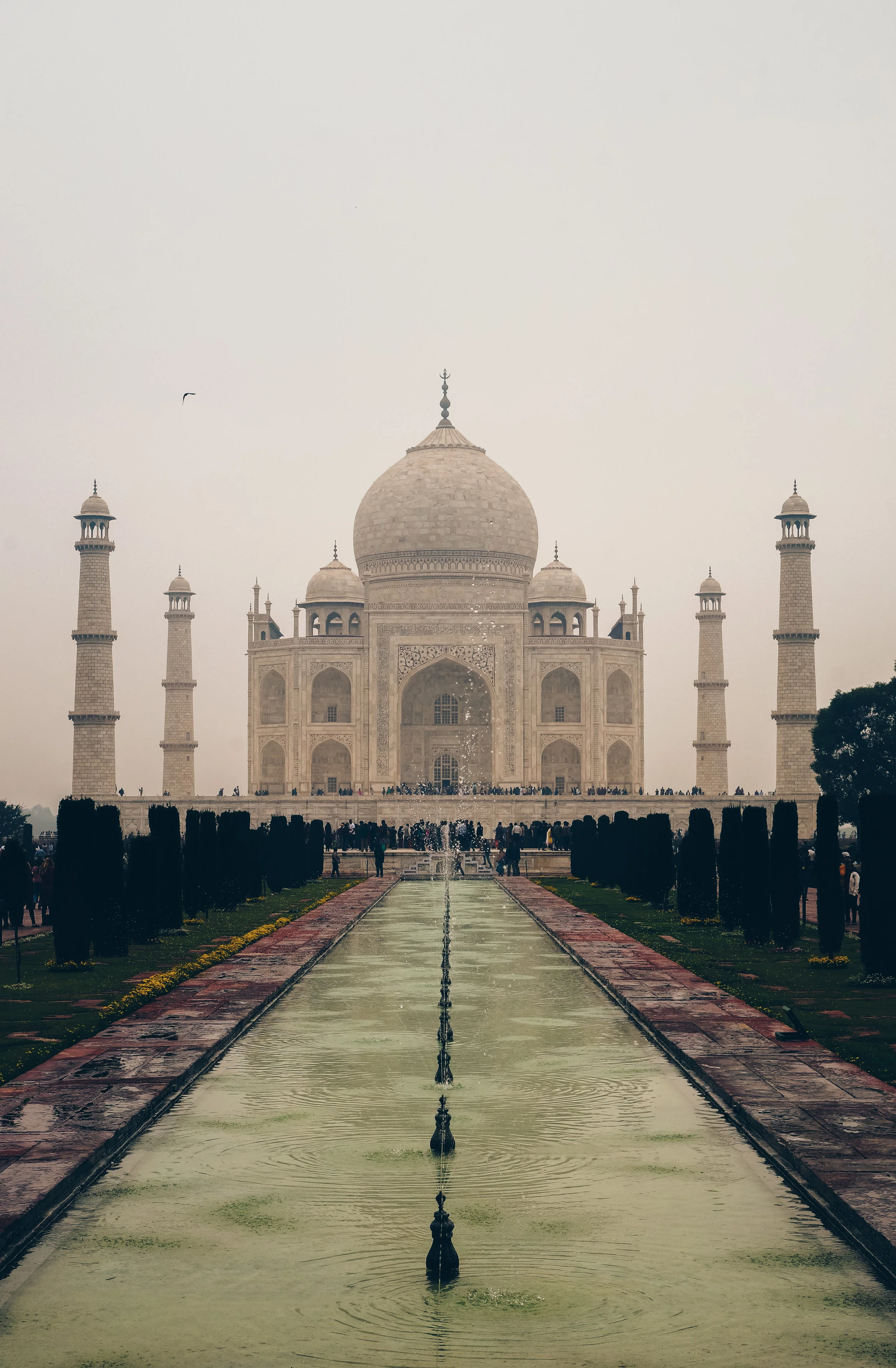 India (38 of 69).jpg