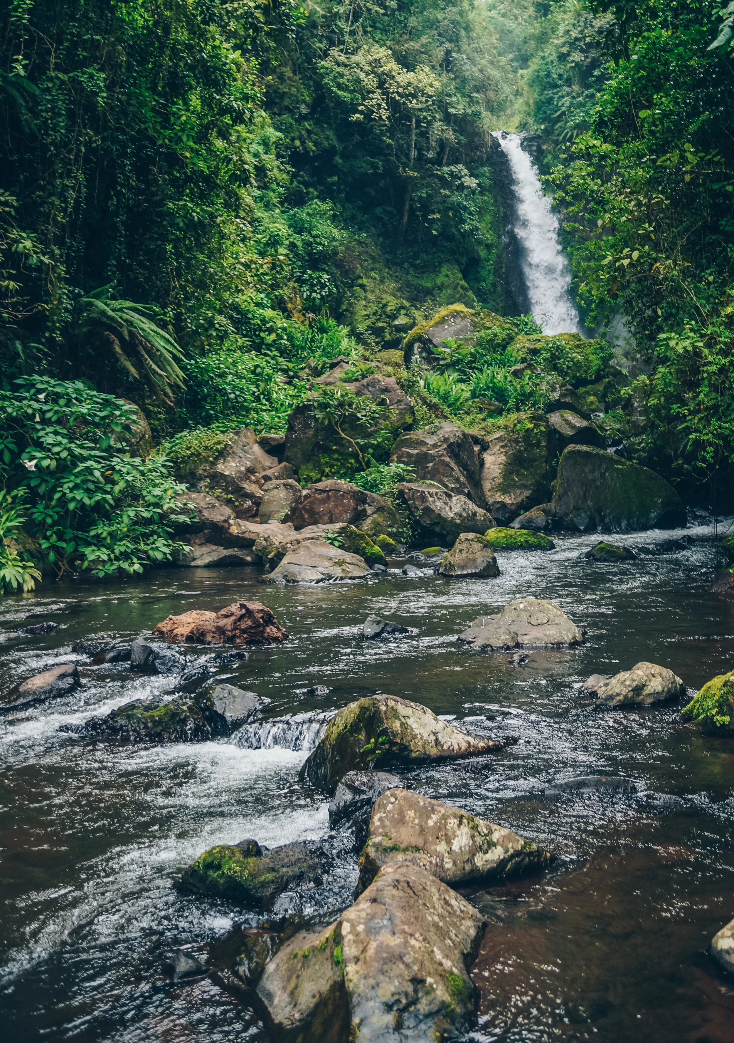 Kilimanjaro (2 of 35).jpg