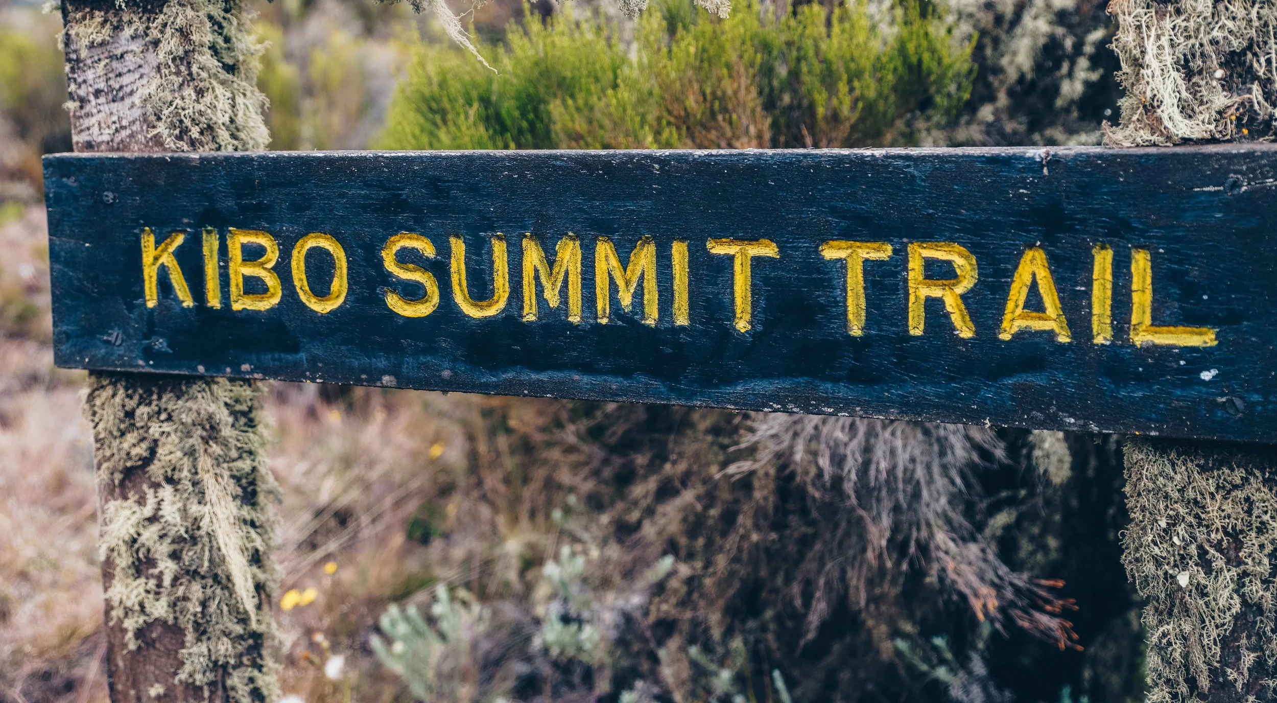 Kilimanjaro (4 of 35).jpg