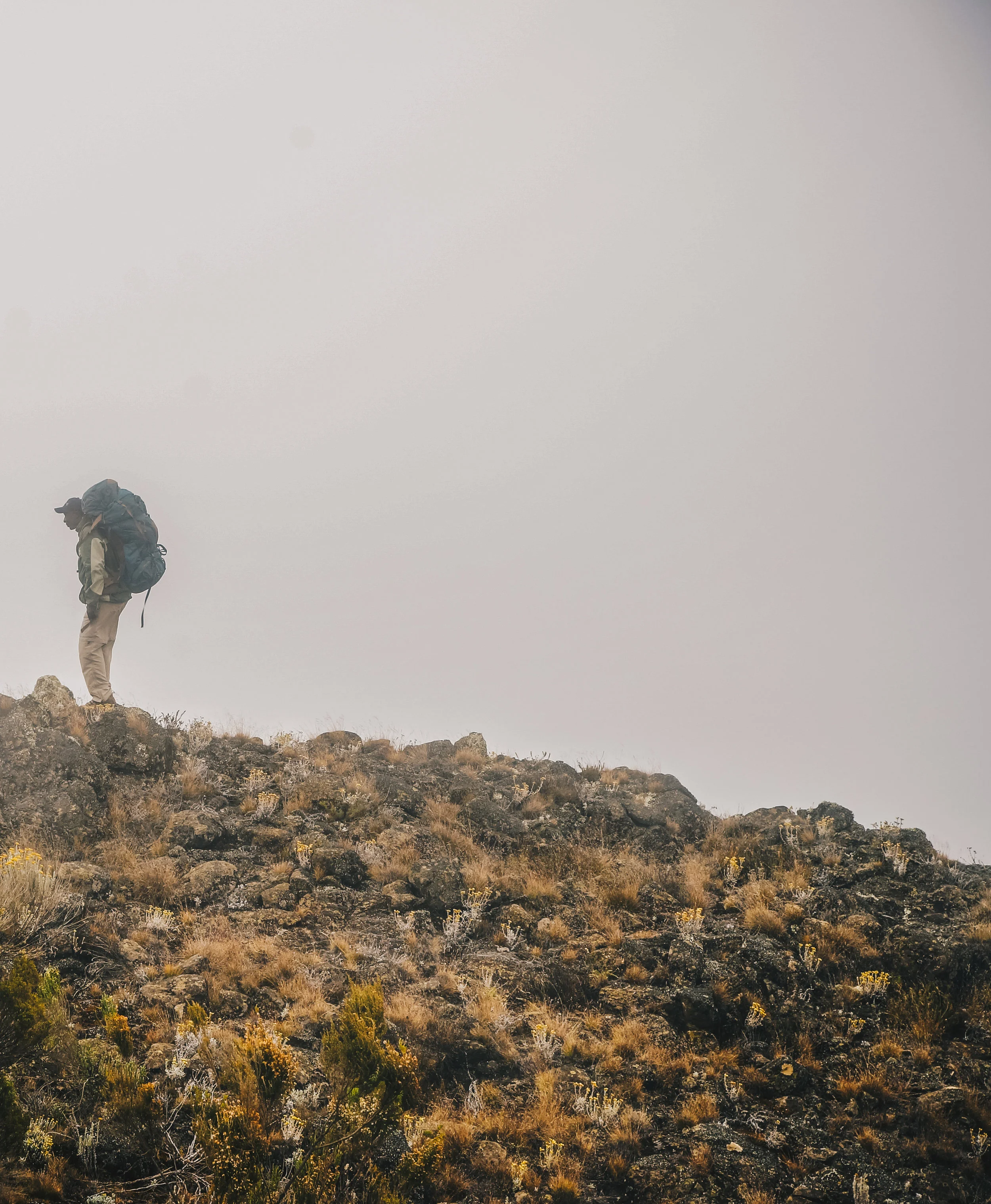 Kilimanjaro (6 of 35).jpg