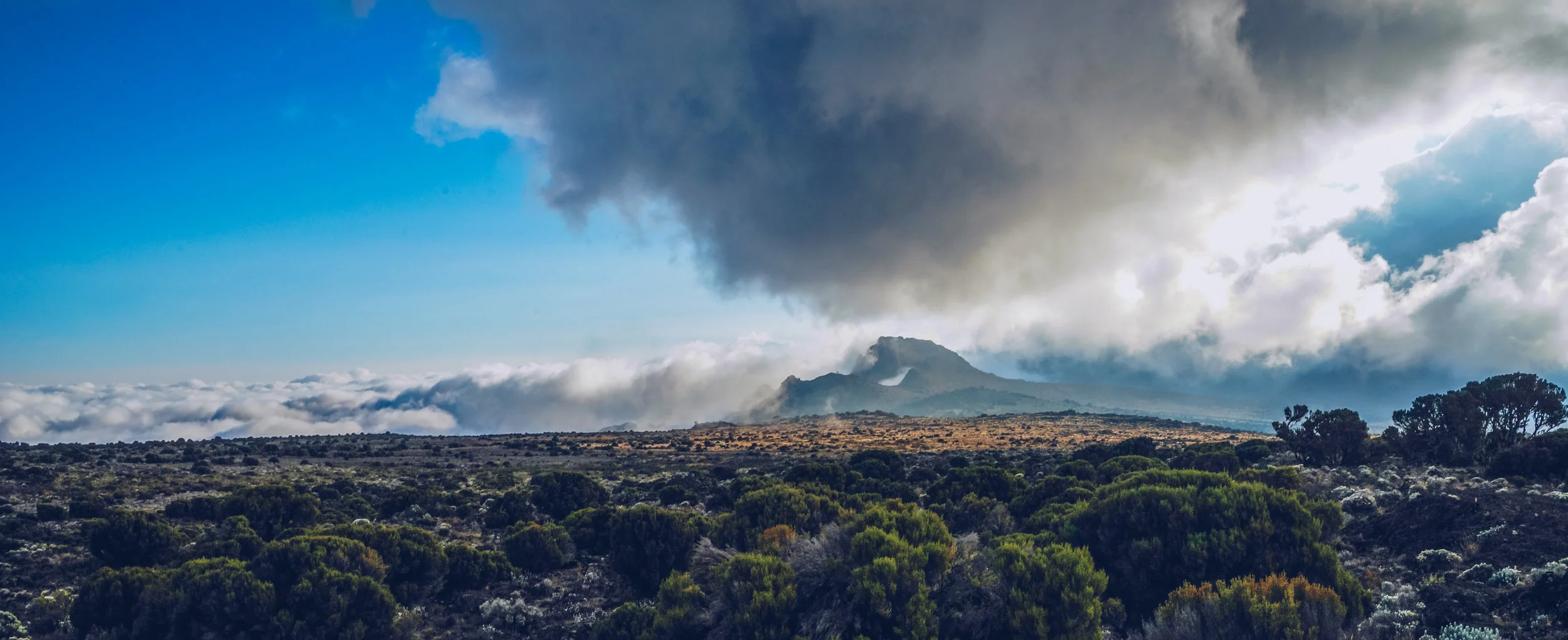 Kilimanjaro (9 of 35).jpg