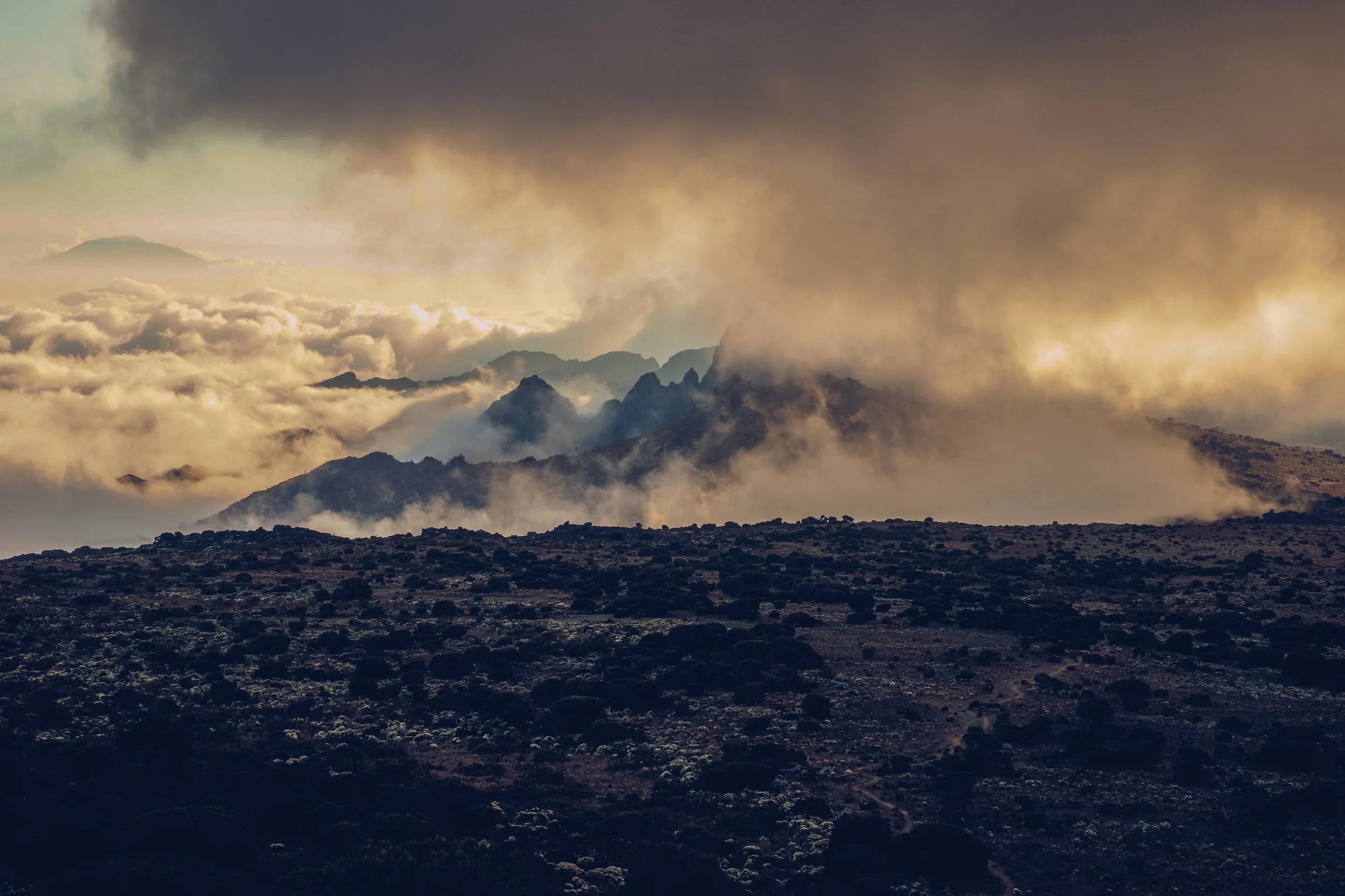 Kilimanjaro (10 of 35).jpg