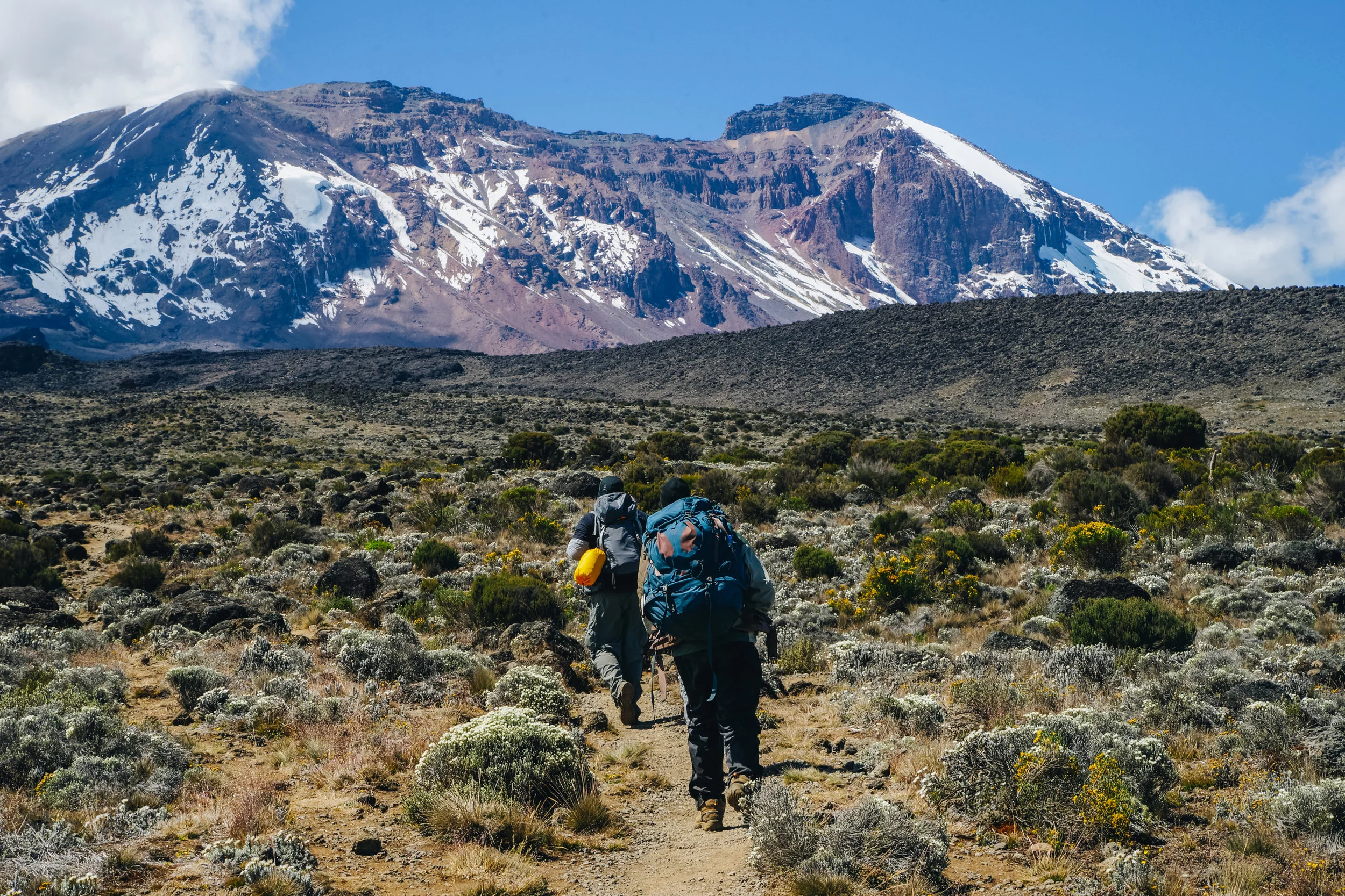 Kilimanjaro (31 of 35).jpg