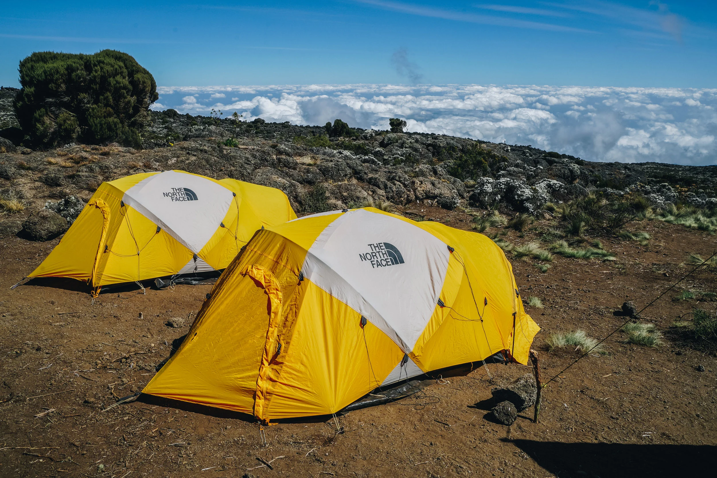 Kilimanjaro (33 of 35).jpg