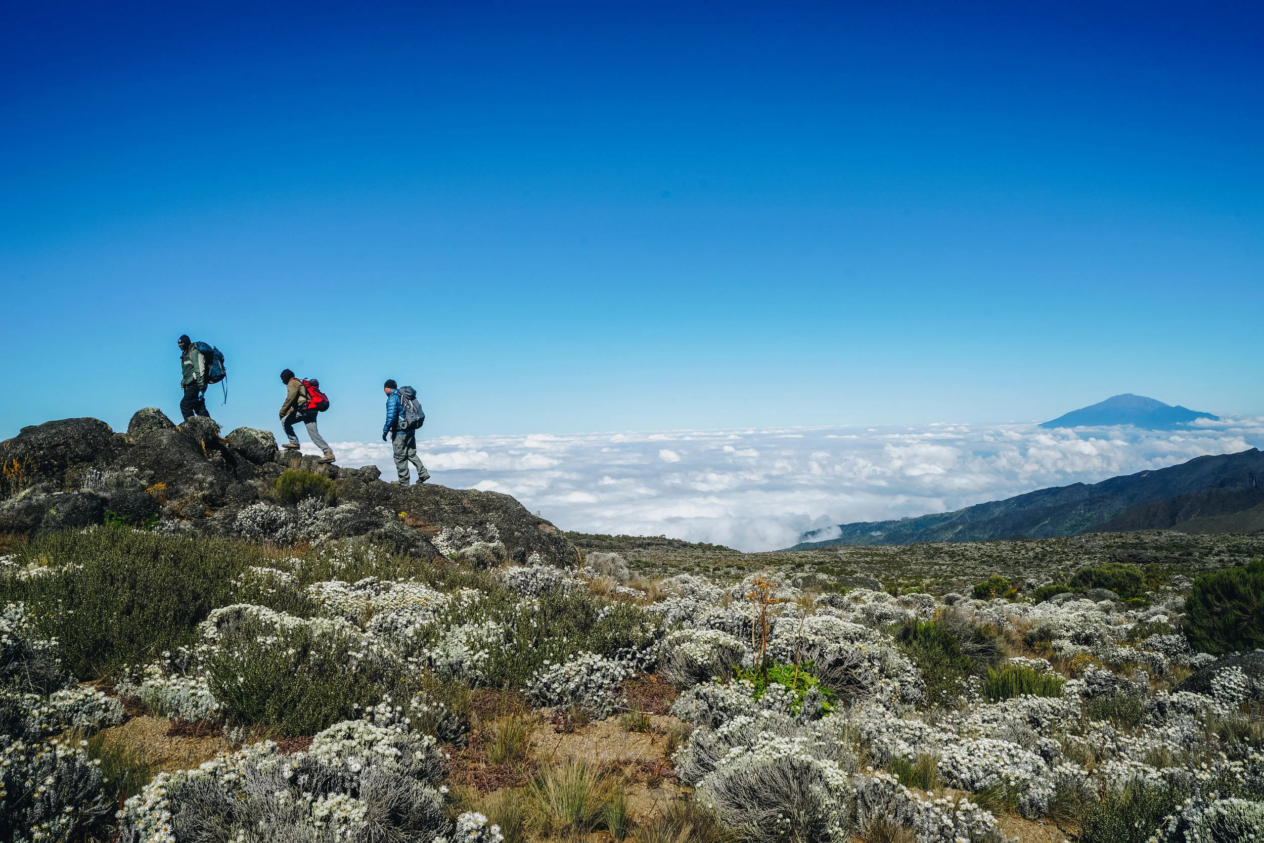 Kilimanjaro (30 of 35).jpg