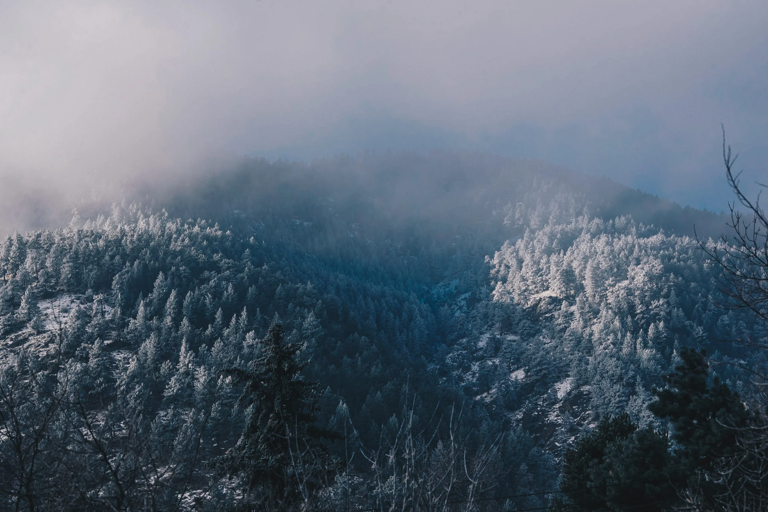 Boulder-1.jpg
