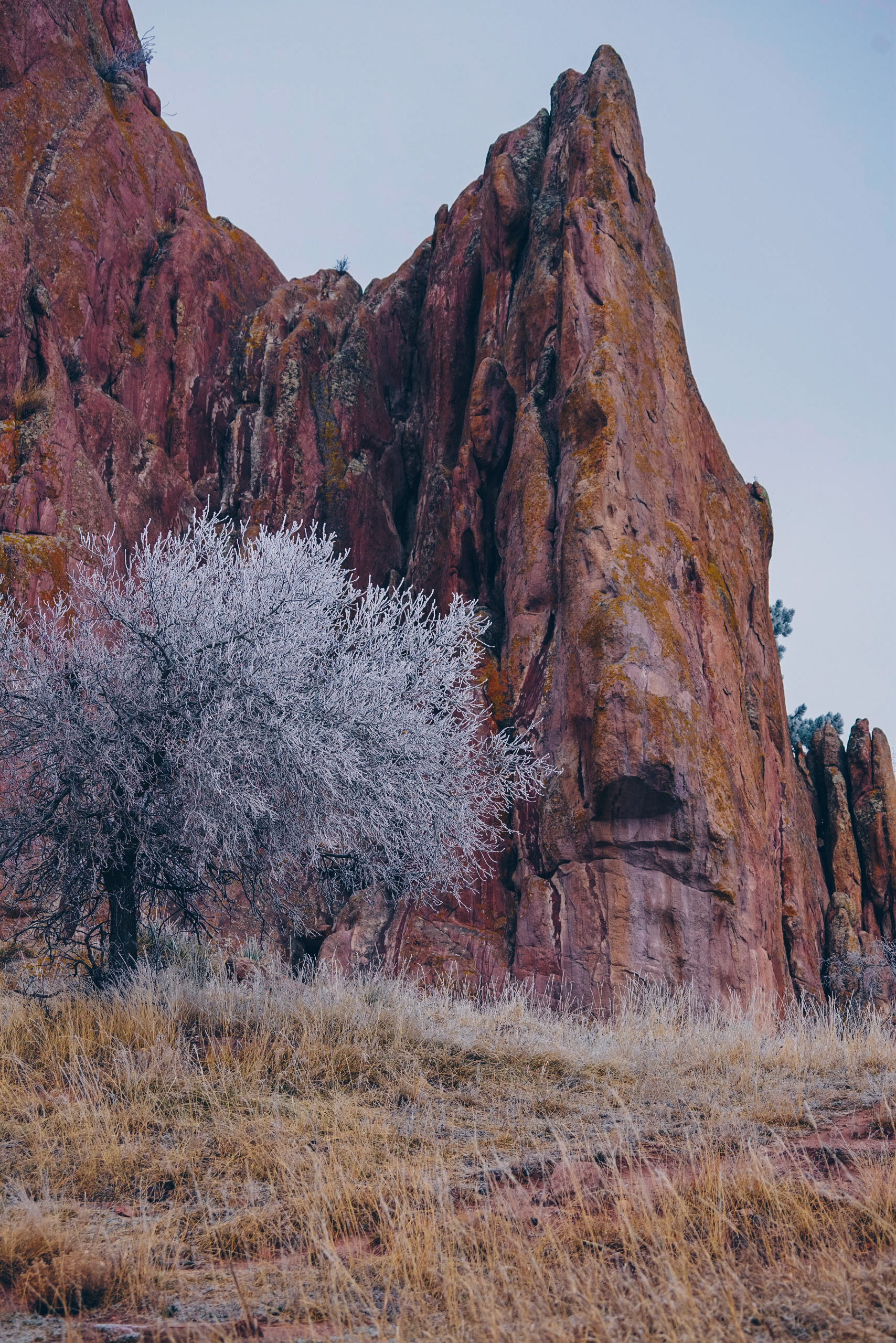 Boulder-5.jpg