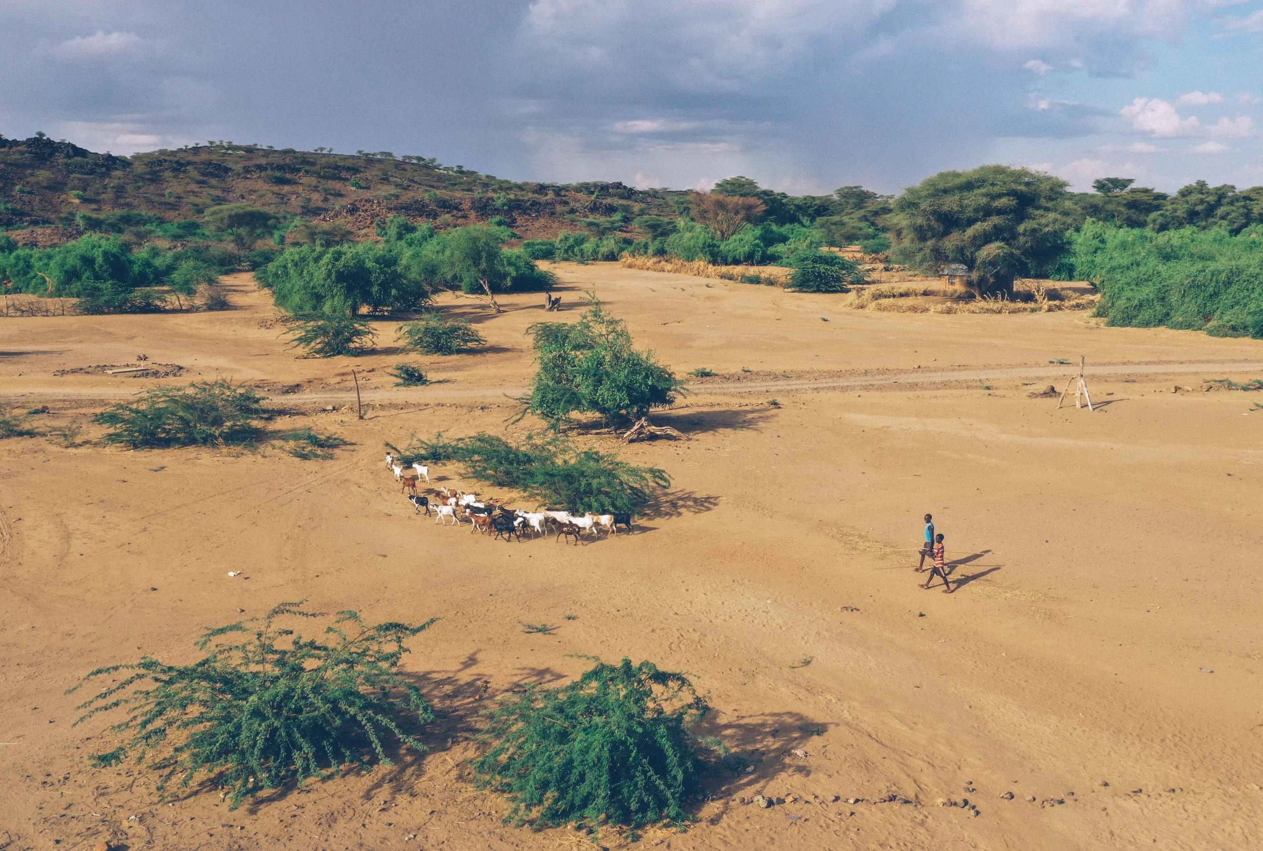 TyzimboTurkana-1.jpg