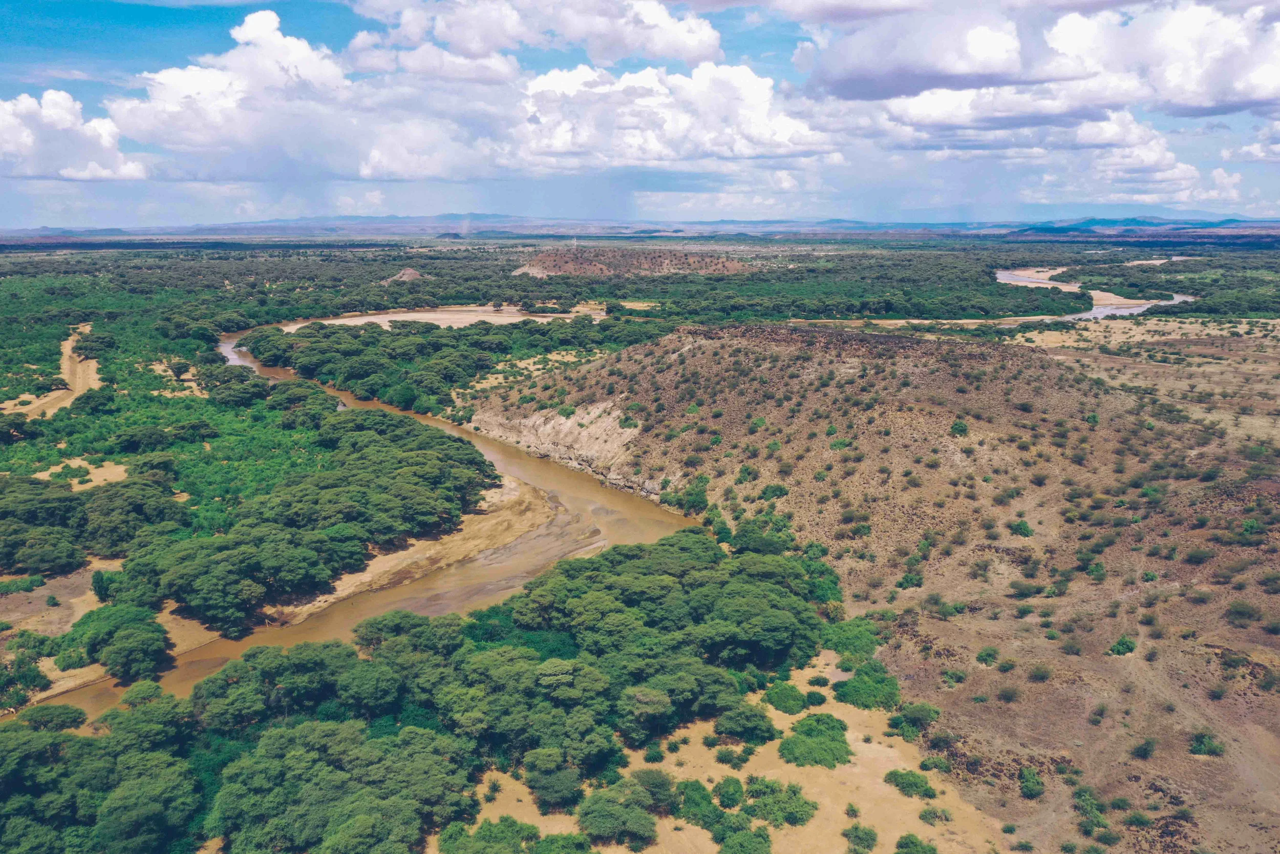 TyzimboTurkana-97.jpg