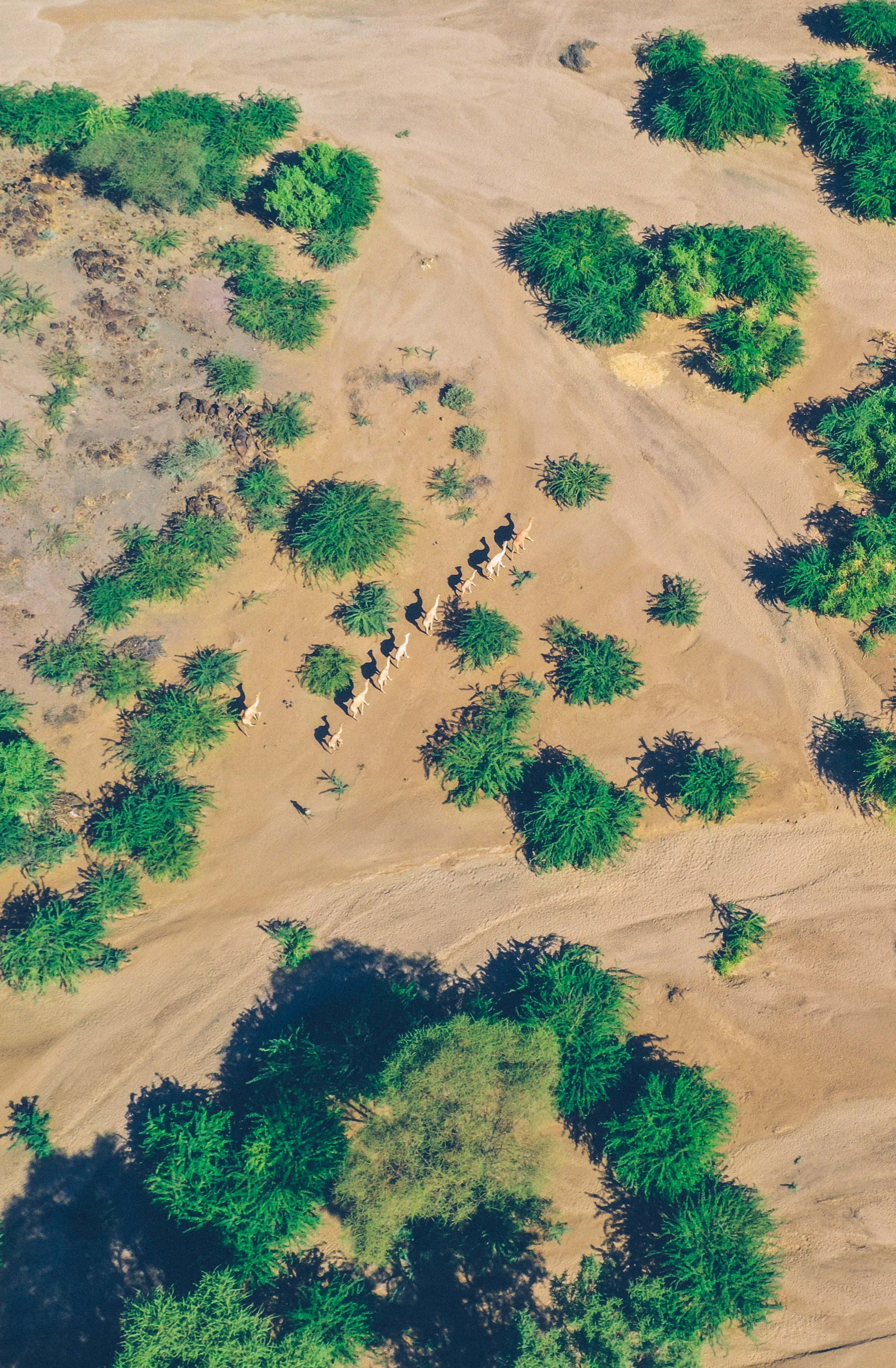 TyzimboTurkana-174.jpg