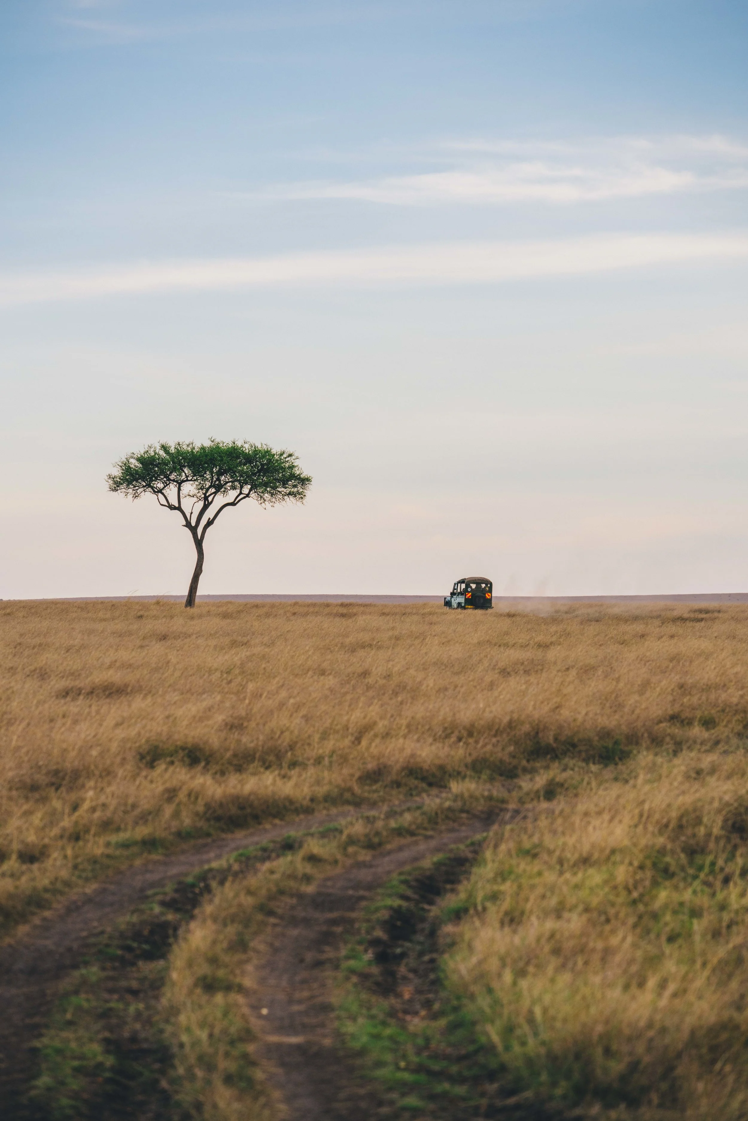 SafariPM-70.jpg