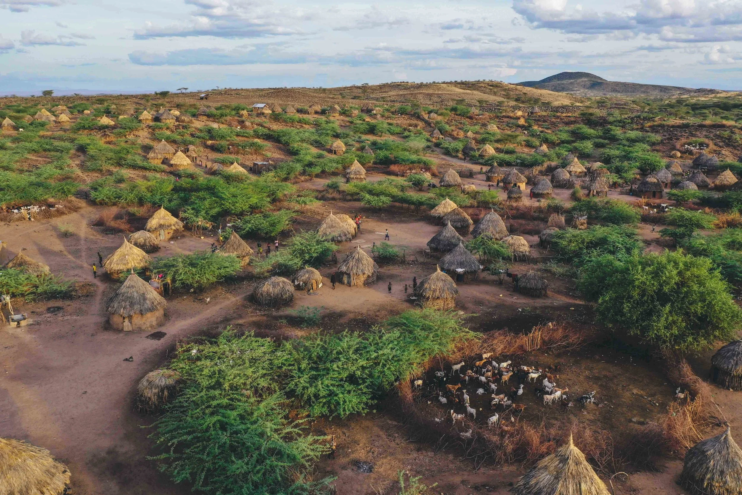 TyzimboTurkana-163.jpg