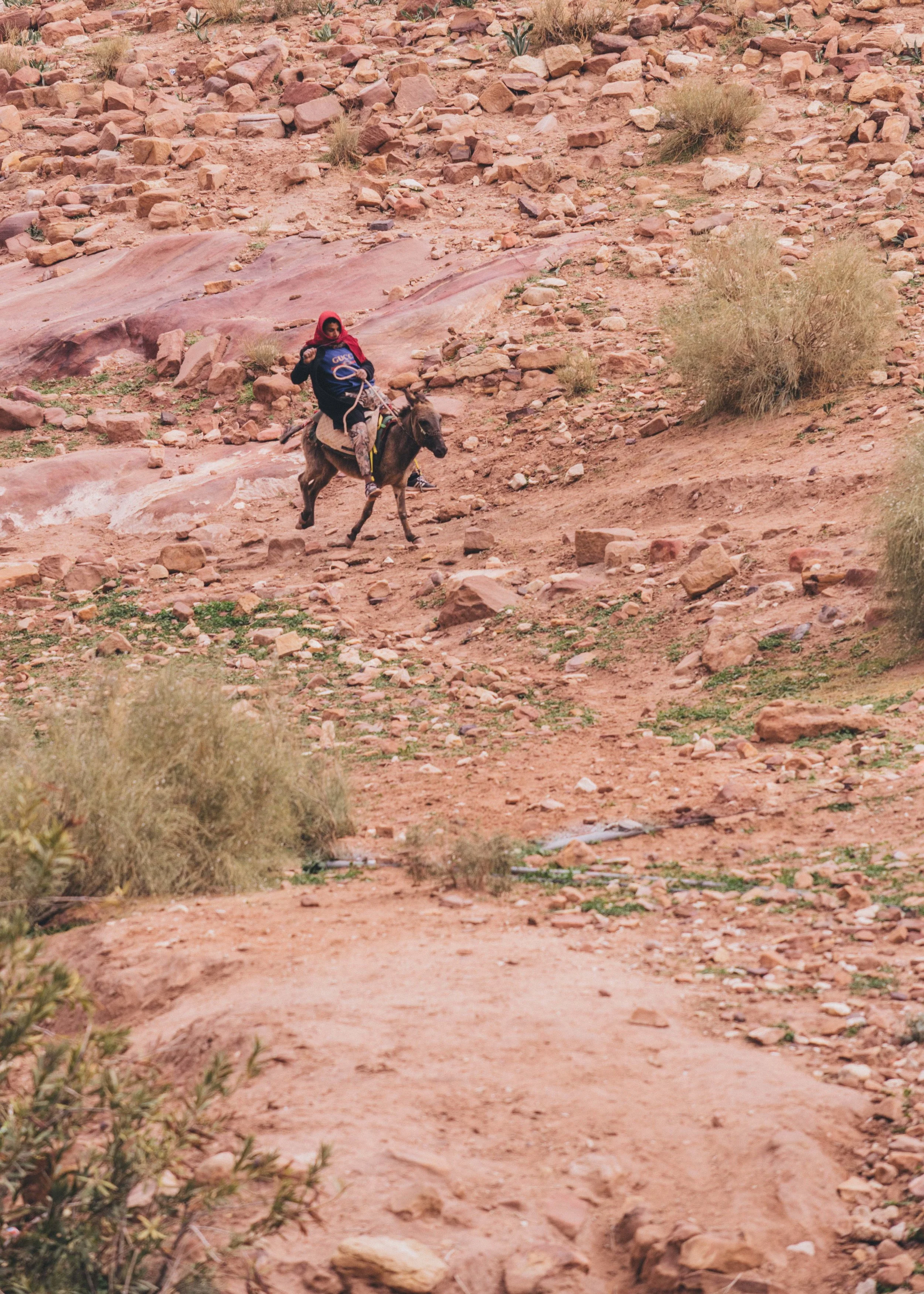 Petra-32.jpg