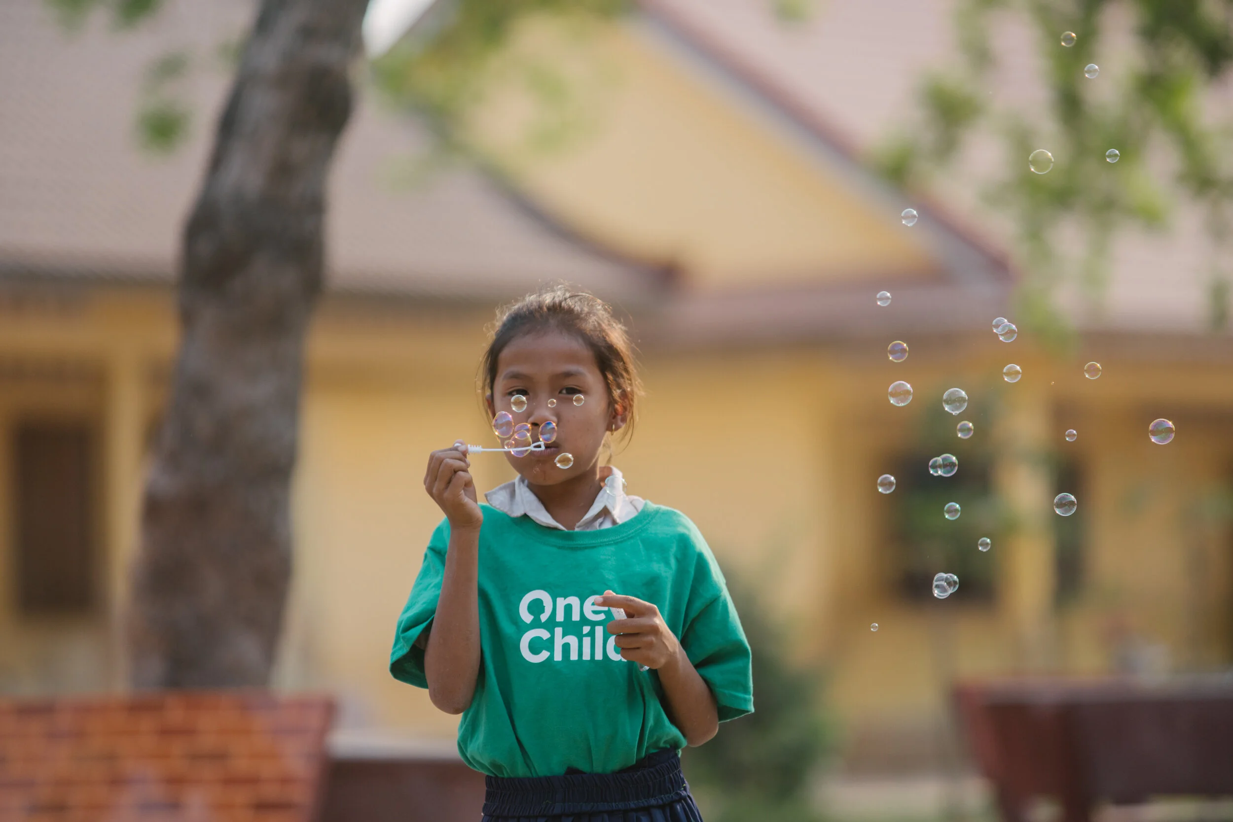 cambodiatyweb_ampil-15.jpg