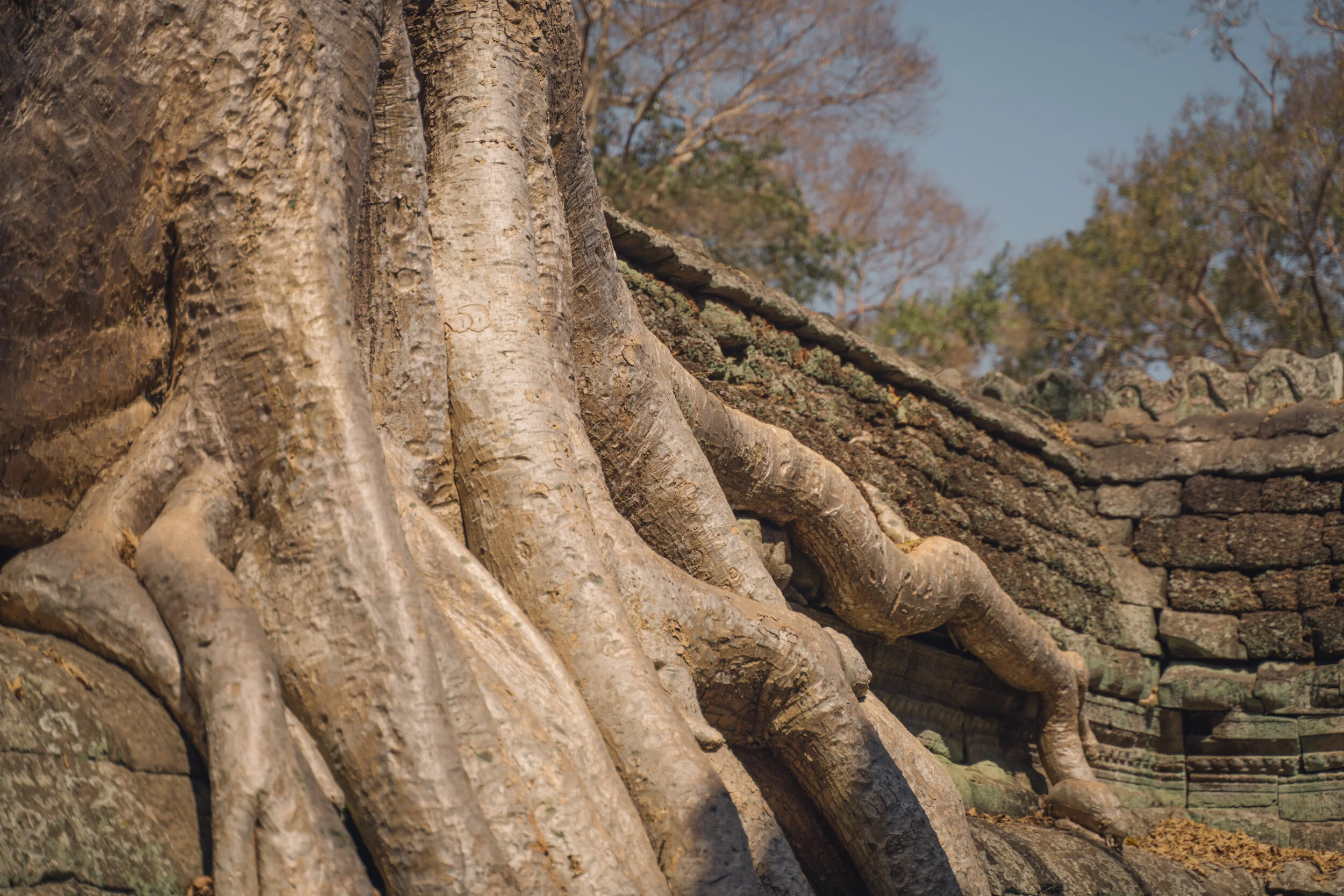 cambodiatyweb_angkorwat-53.jpg