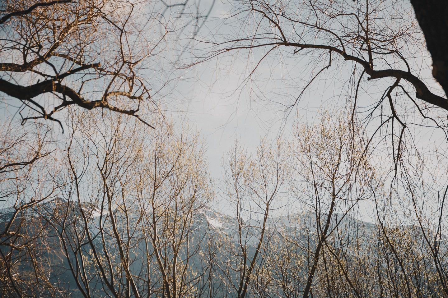 Glenorchy in winter