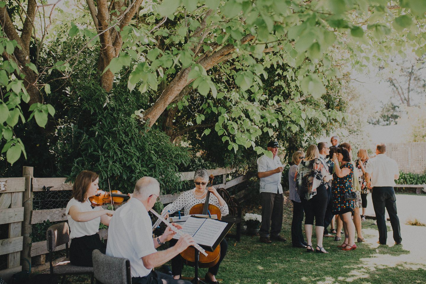 String quartet at outdoor wedding.