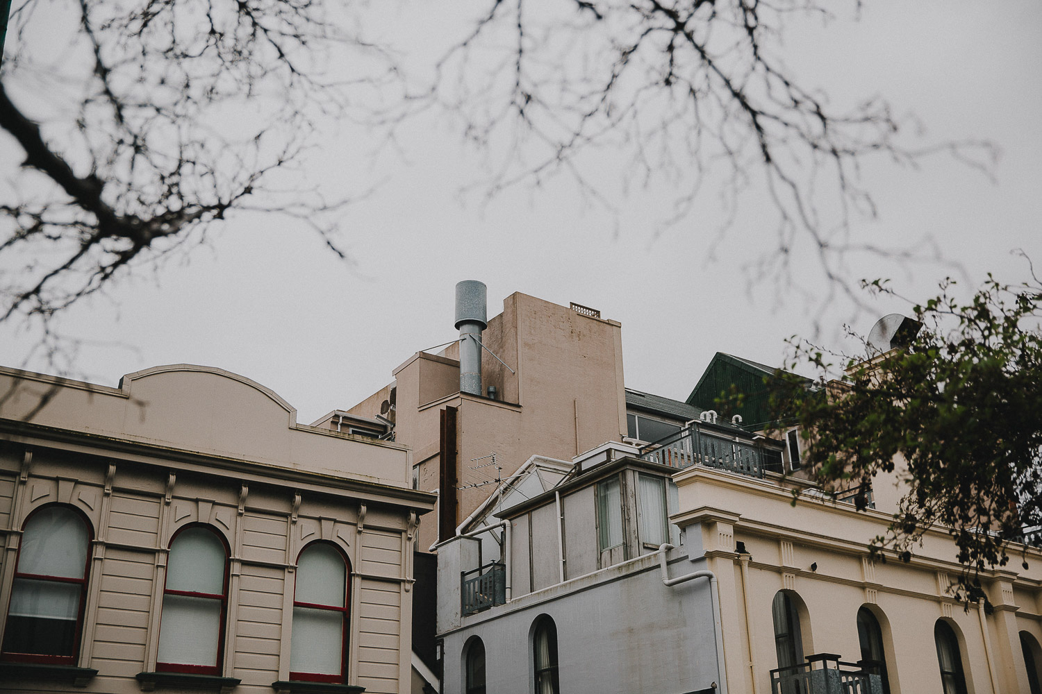 Wellington wedding