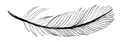 feather-01-small.jpg