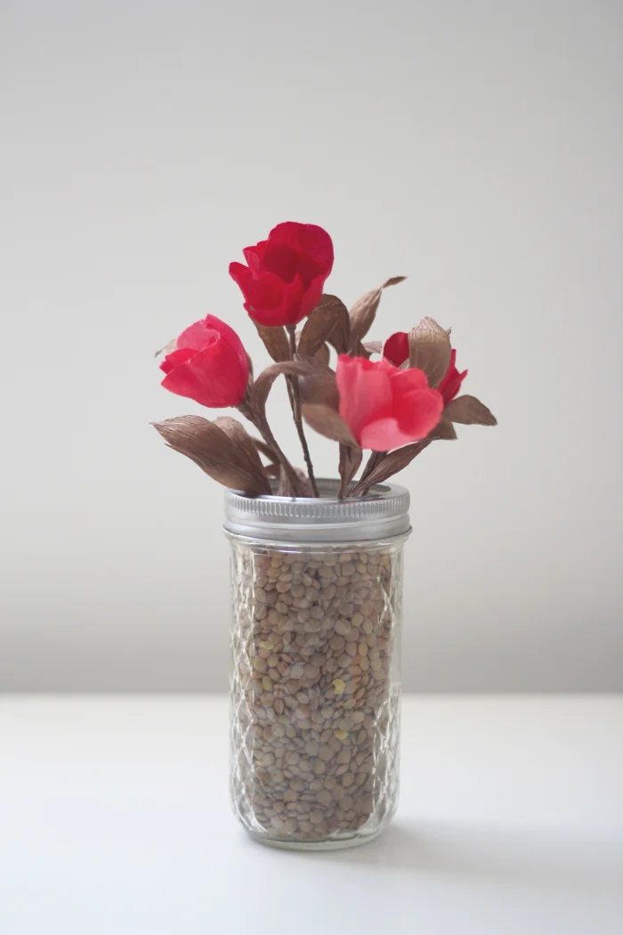 reds brown leaves_03.JPG