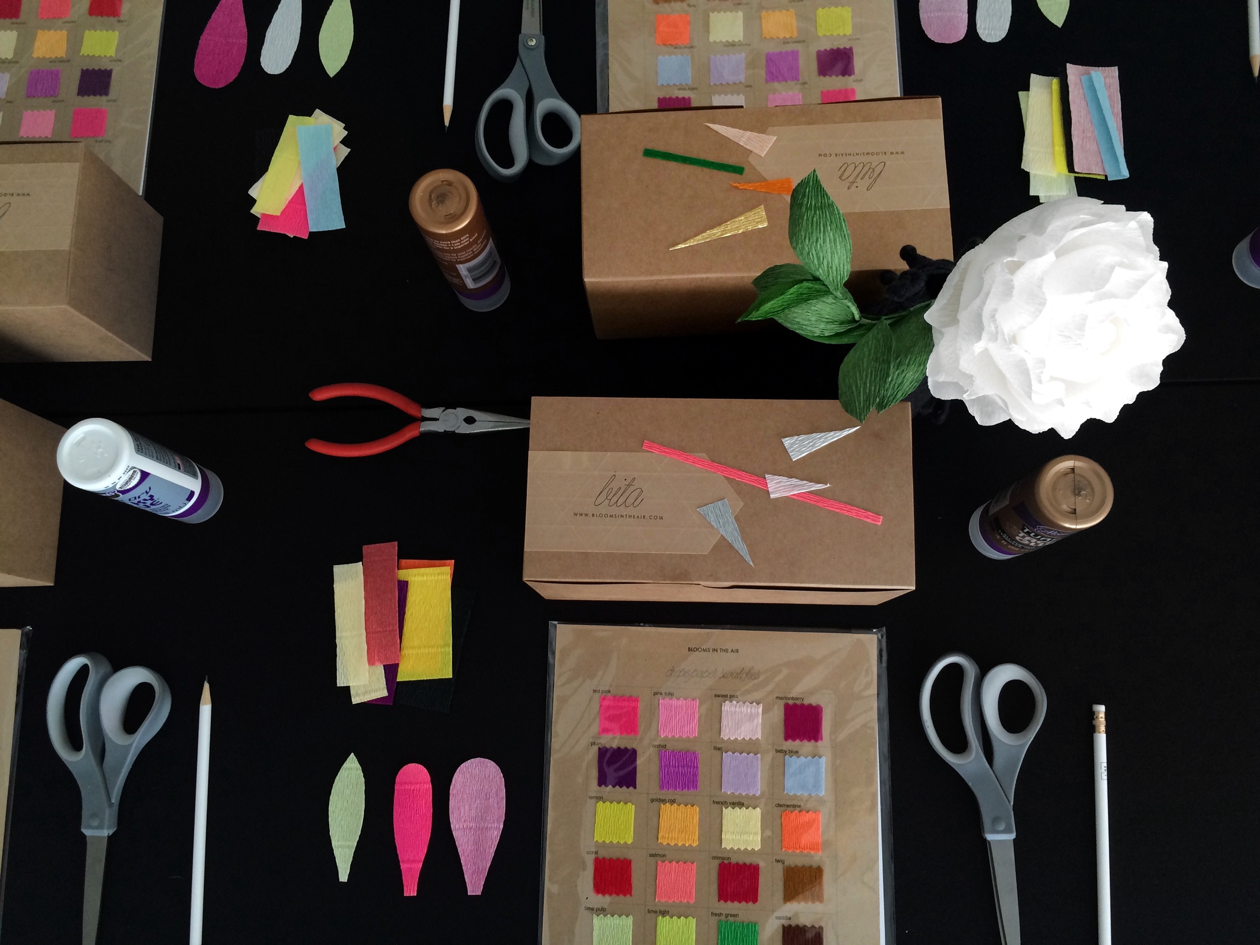 Get ready, set, craft!