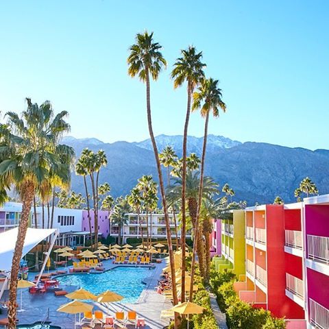 This weekend has been beautifully LA ☀️ and so I can't stop thinking about the upcoming @bloomsintheair x @poketo paper flower workshop @thesaguarops the most colorful hotel in #palmsprings 😆 It's the ultimate crafter's summer getaway so don't miss 