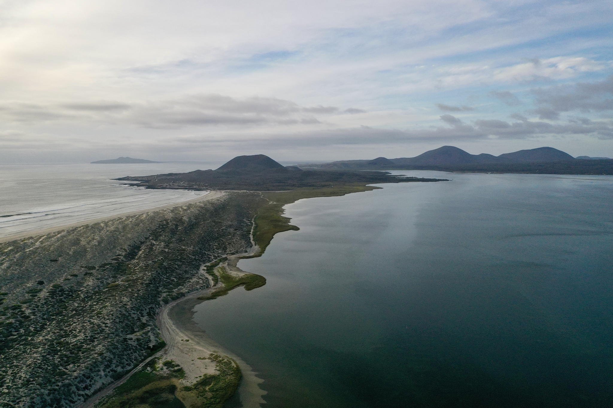 Bahía de San Quintín