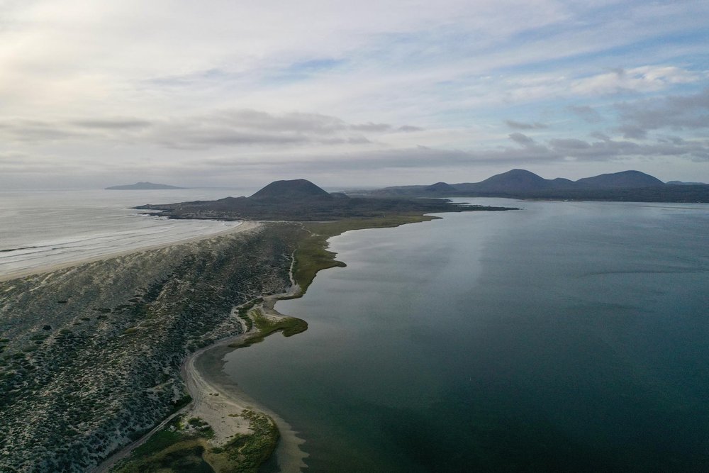 Bahía de San Quintín