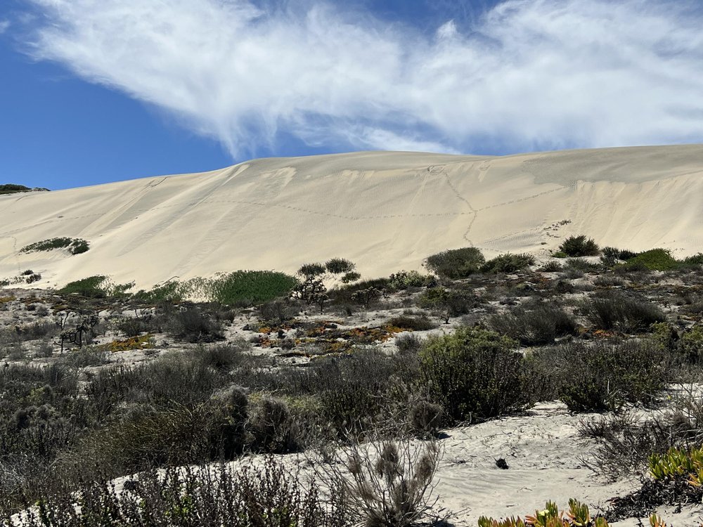 El Socorros Dunes